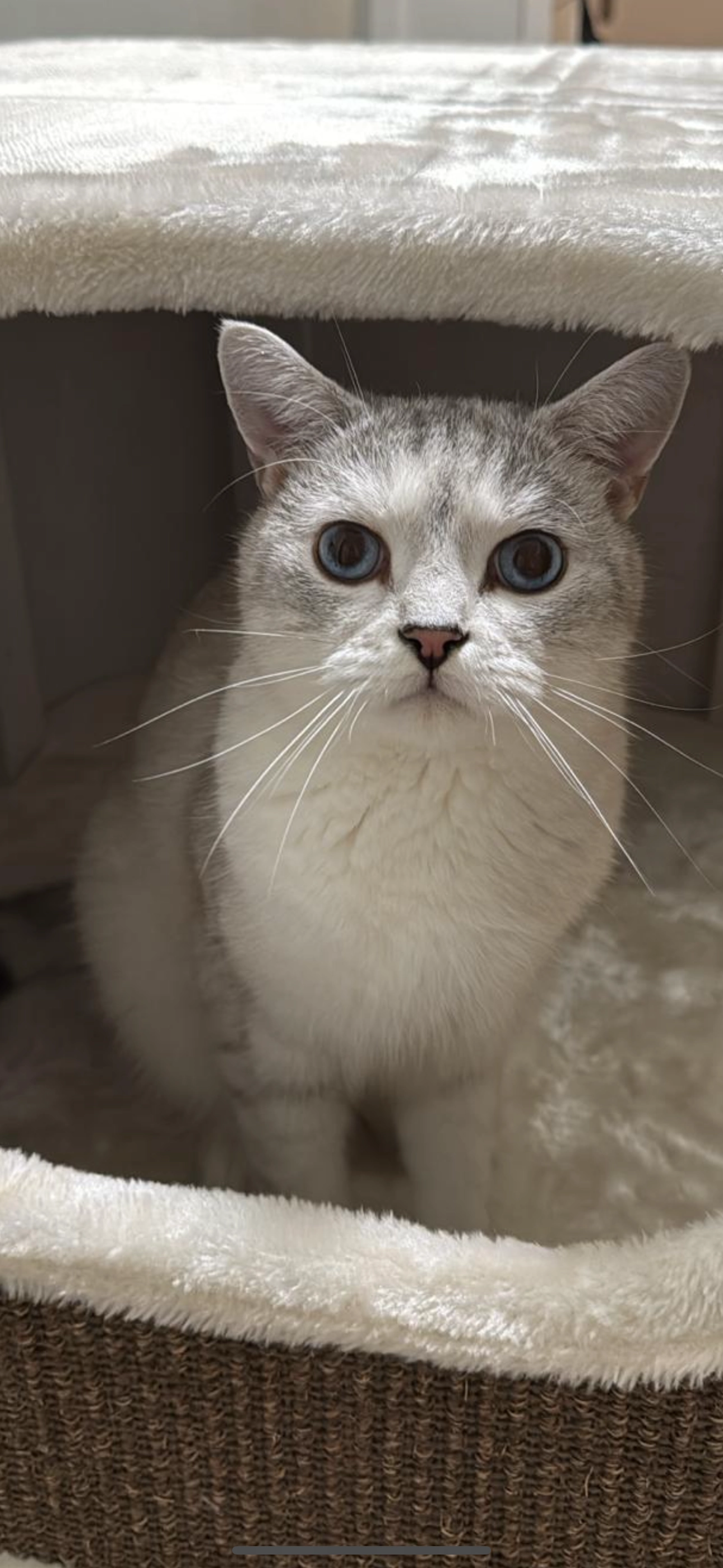 Oscar - Alte Kasseler Straße, Marburg