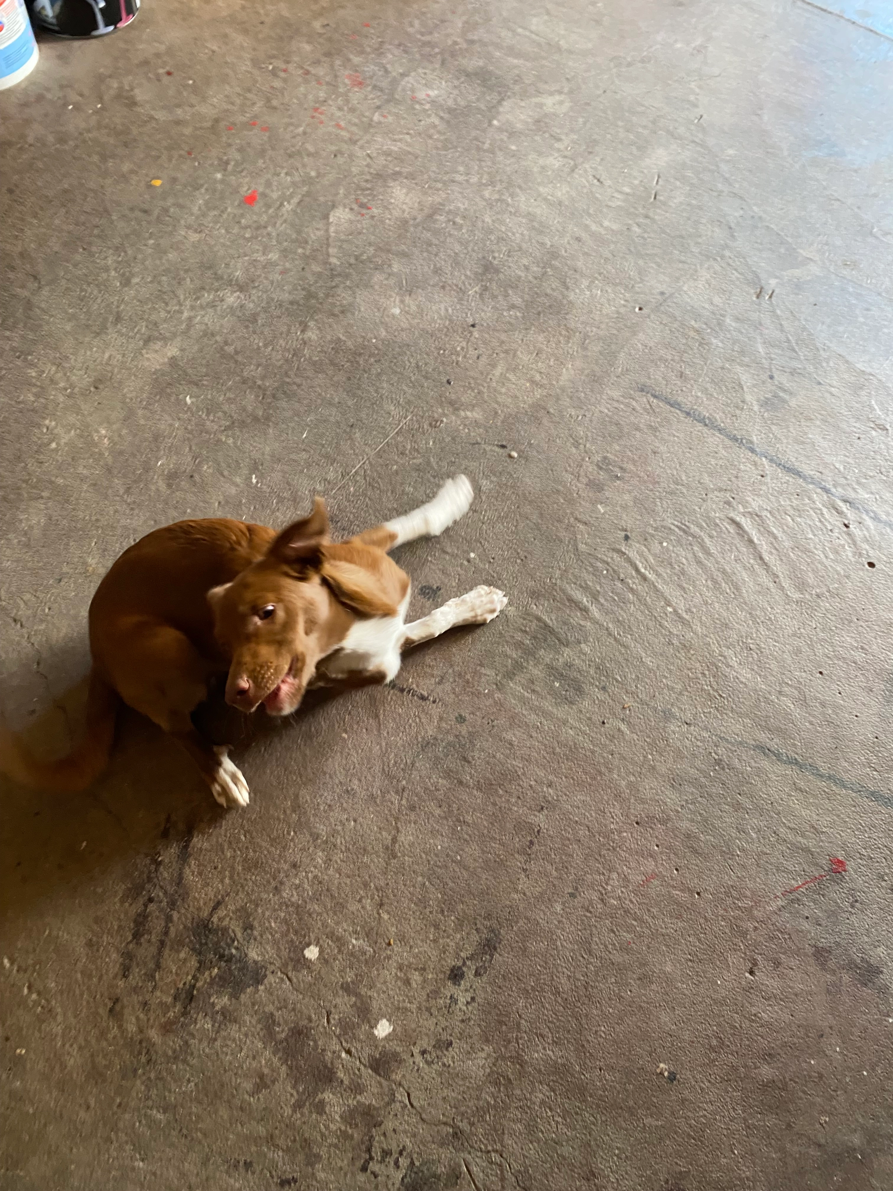 Huguette  - Chemin de la Concordance, Clermont-Ferrand