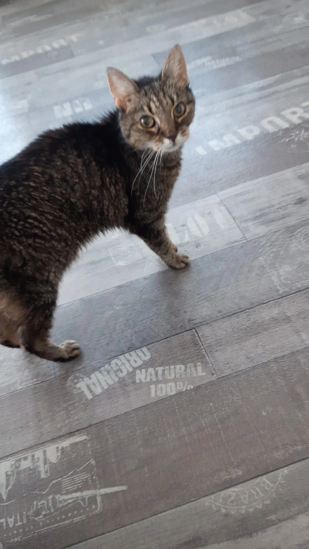 Luna - Repelstraat, Poortugaal