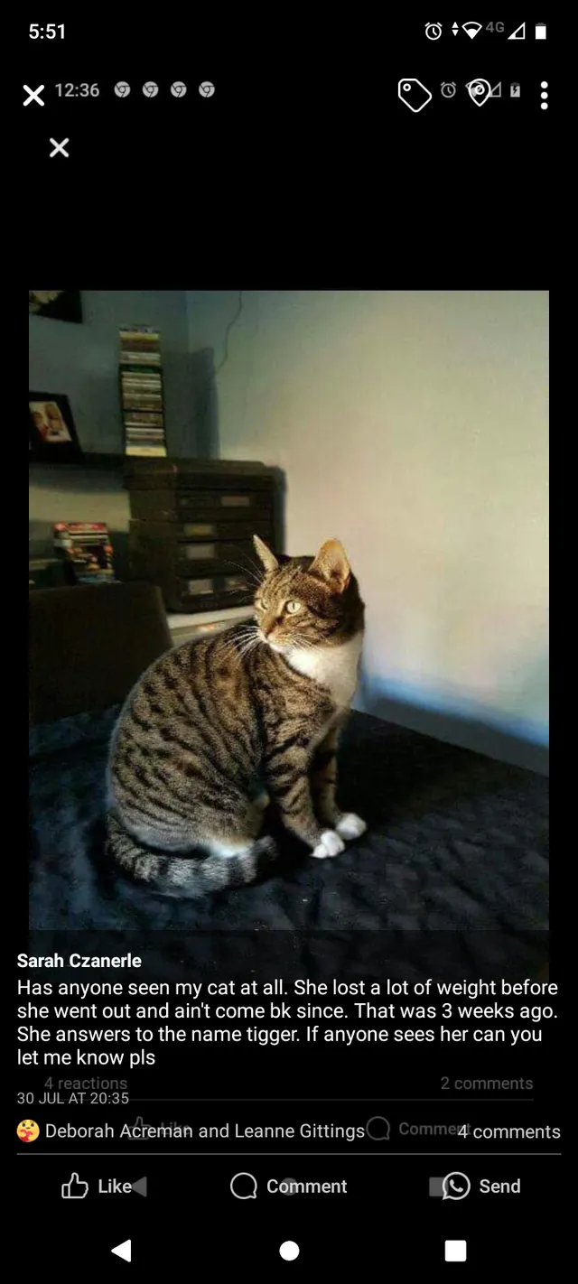 Tigger - Kier Hardie Crescent, Ringland