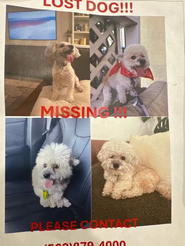 Penny  - 7155 Citrus Ave, Fontana