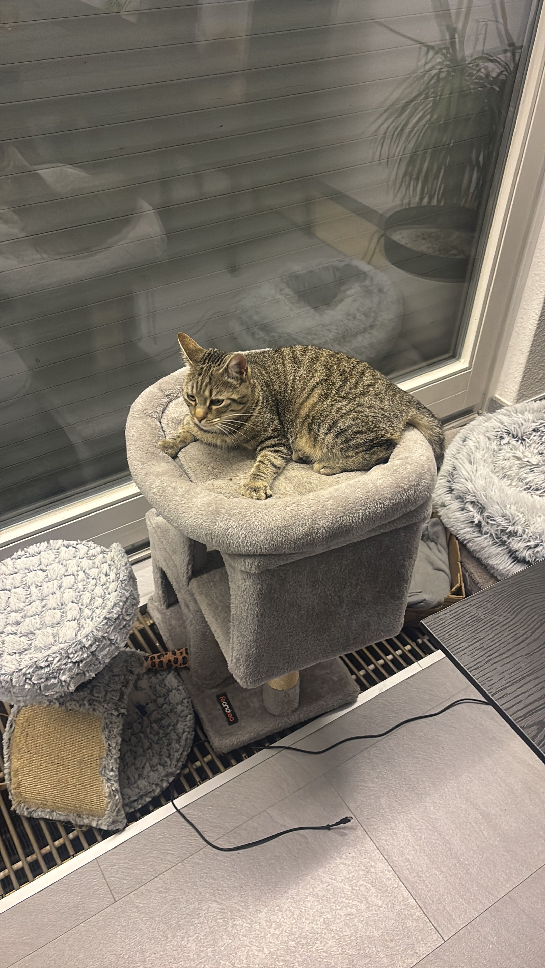 Ela - Zur Dicken Linde, Oelde