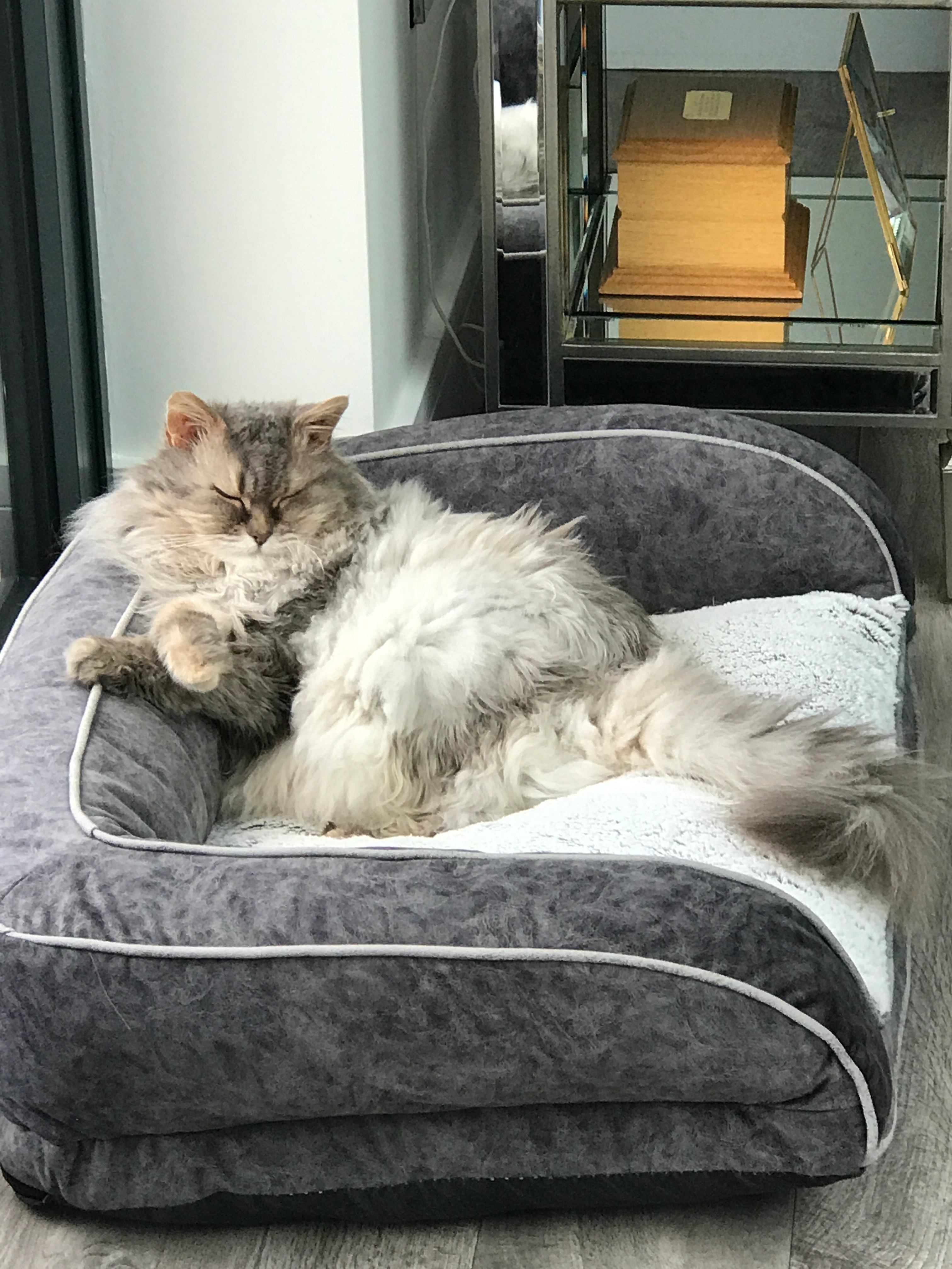 Misty - Beverley Close, Lowestoft