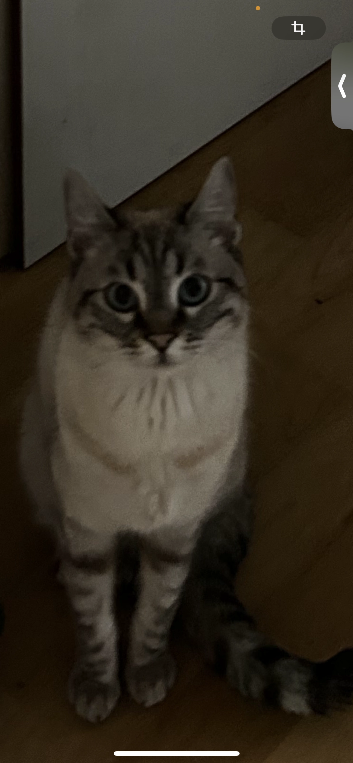 Nala - Friedrich-Viehbacher-Allee, Regensburg