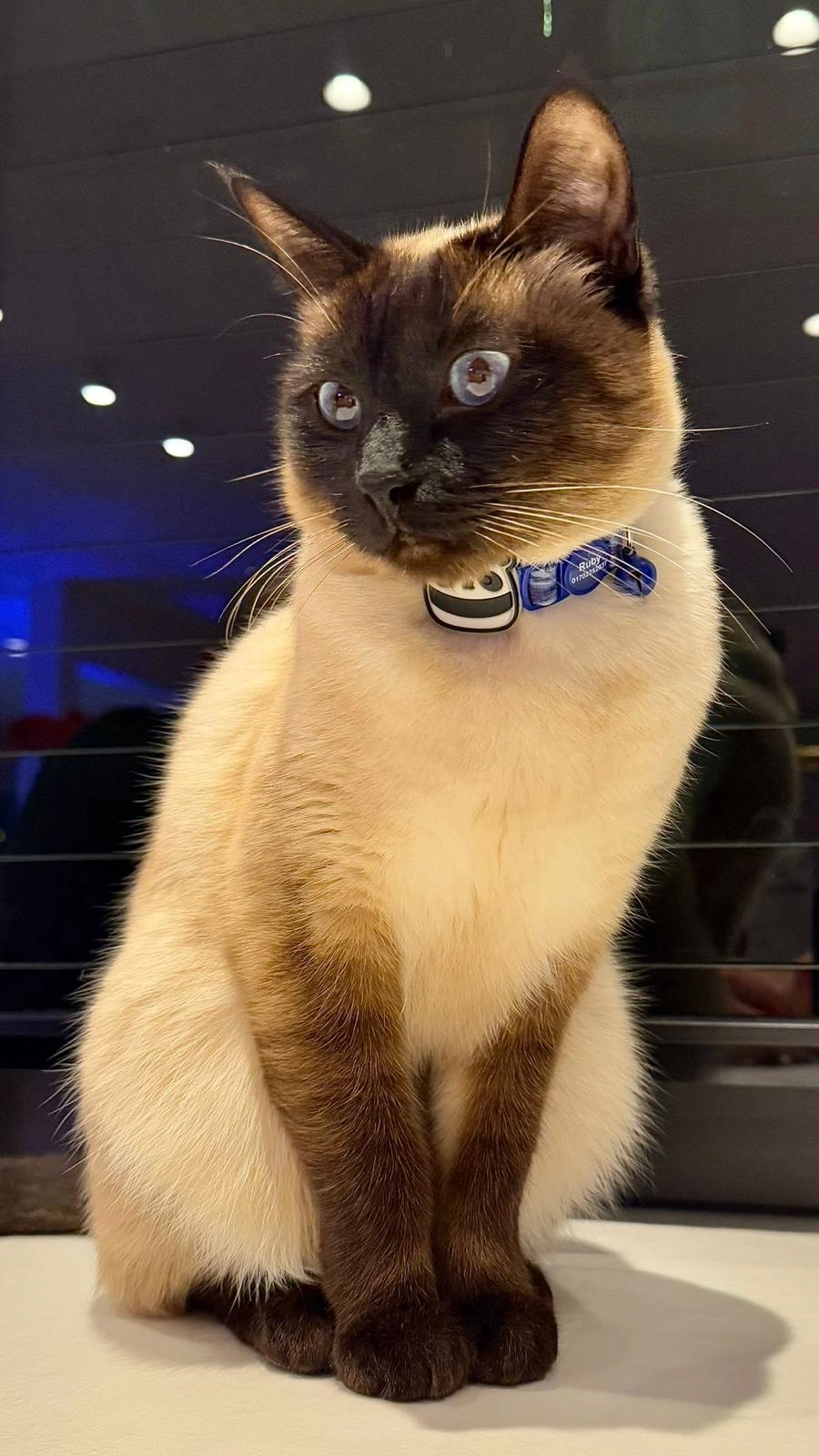 Rubi - An der Alten Gärtnerei, Ottendorf-Okrilla