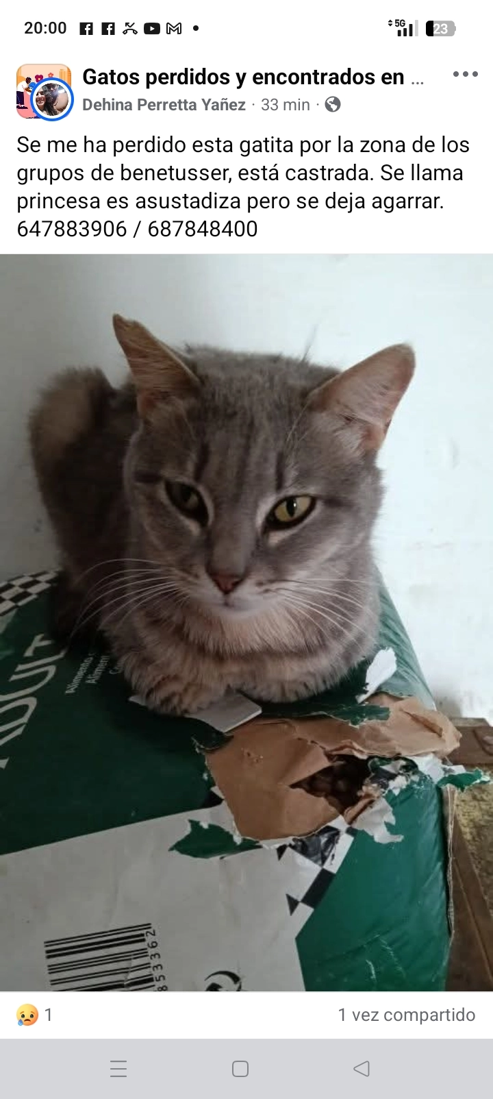 Princesa - Carrer De València, Benetússer