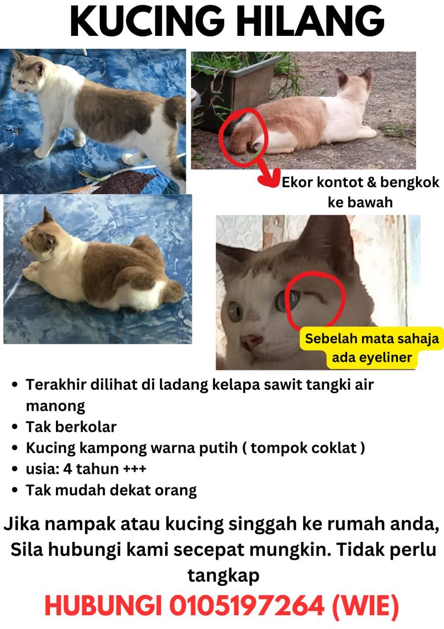 Sokka - 33800, Manong