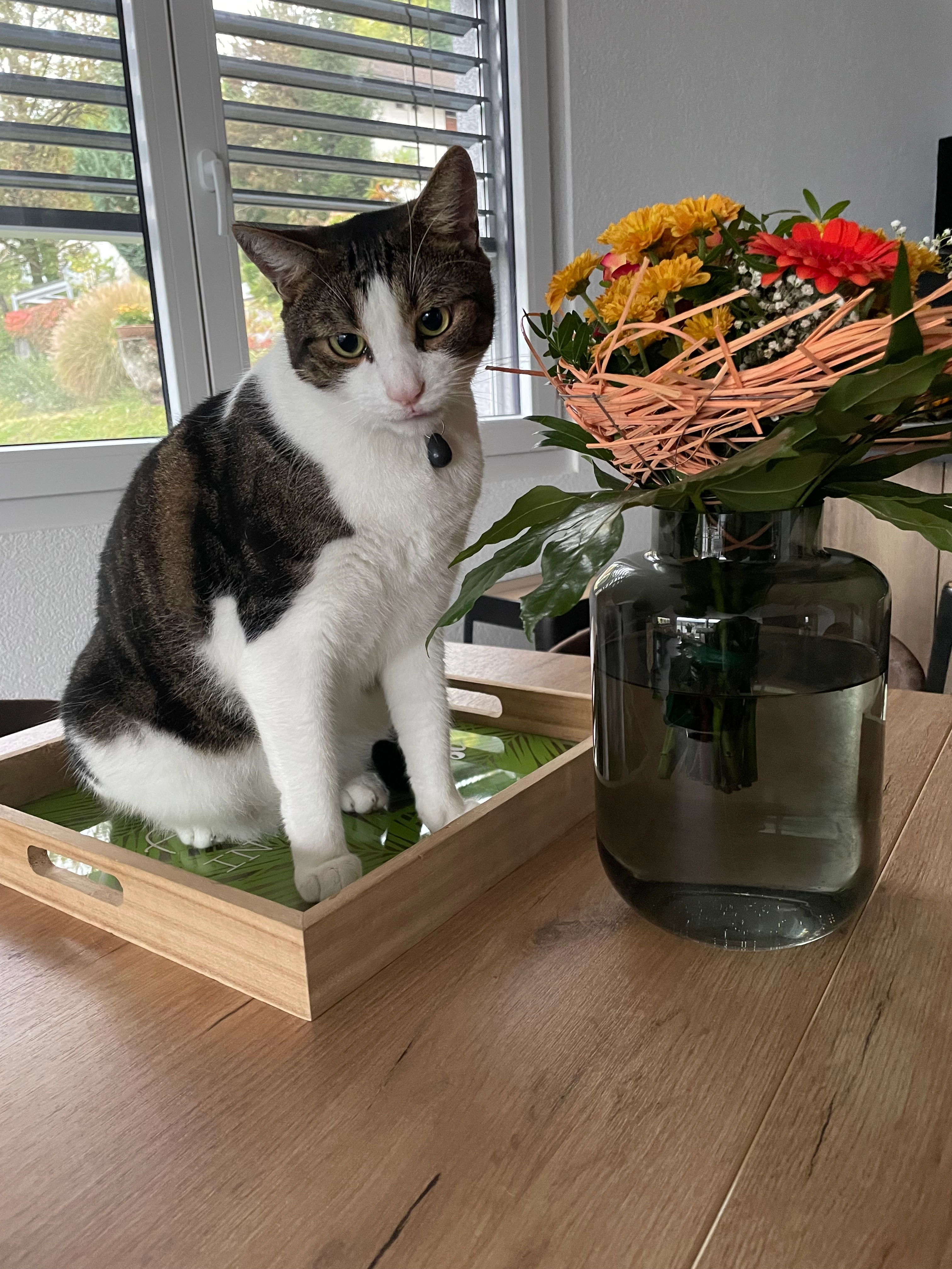 Lipton - Route d'Outre-Vièze 12A, Monthey