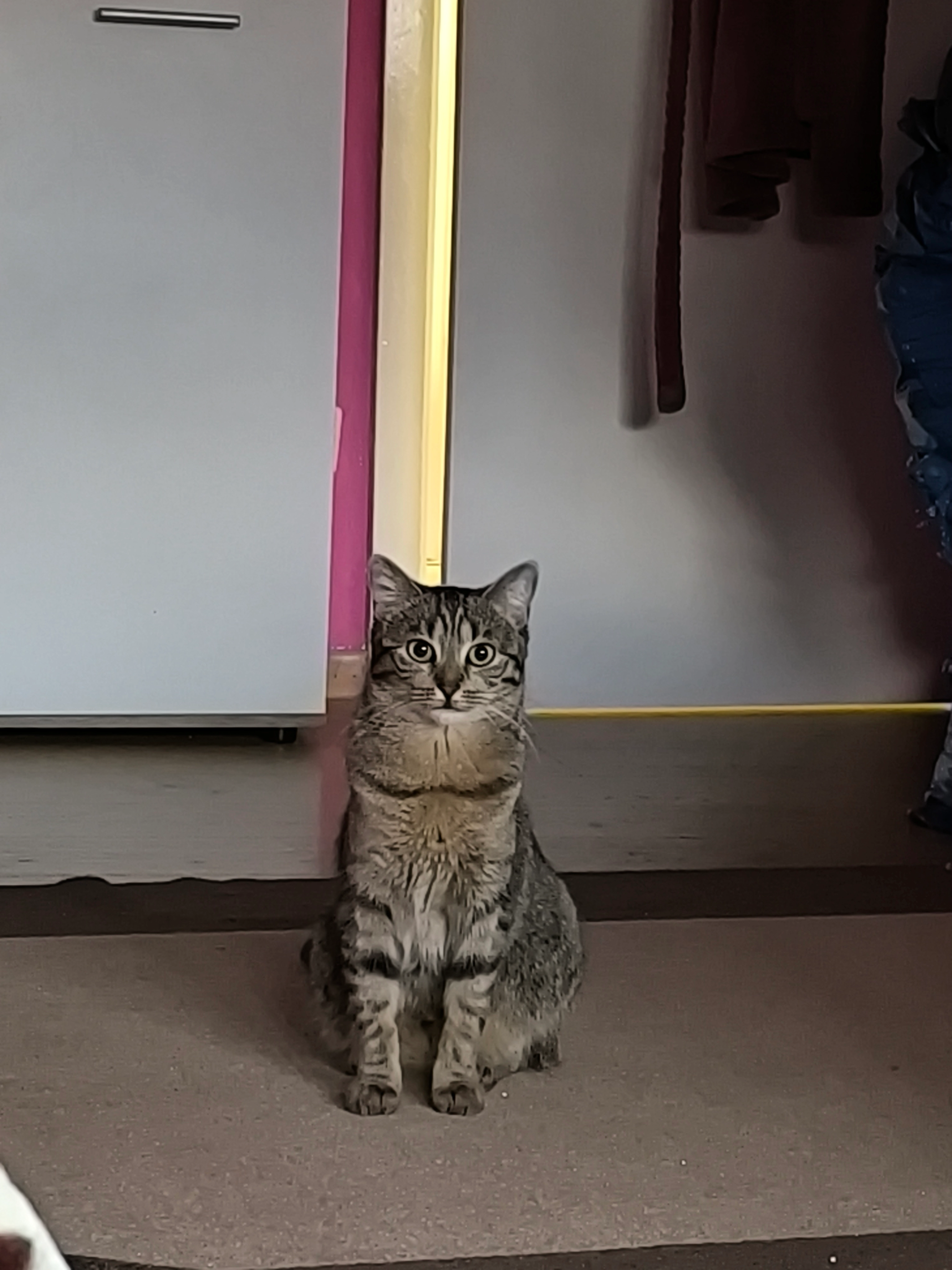 Suna/susu - Weidenweg, Leonberg