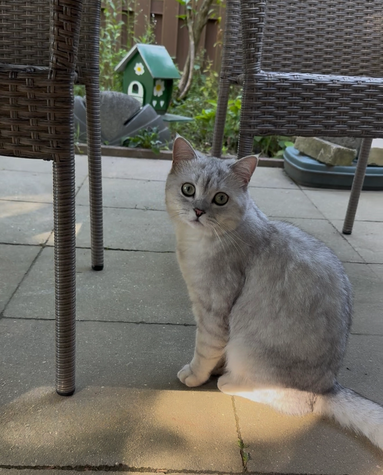 Bianco  - Hans-Sachs-Straße, Rüsselsheim am Main