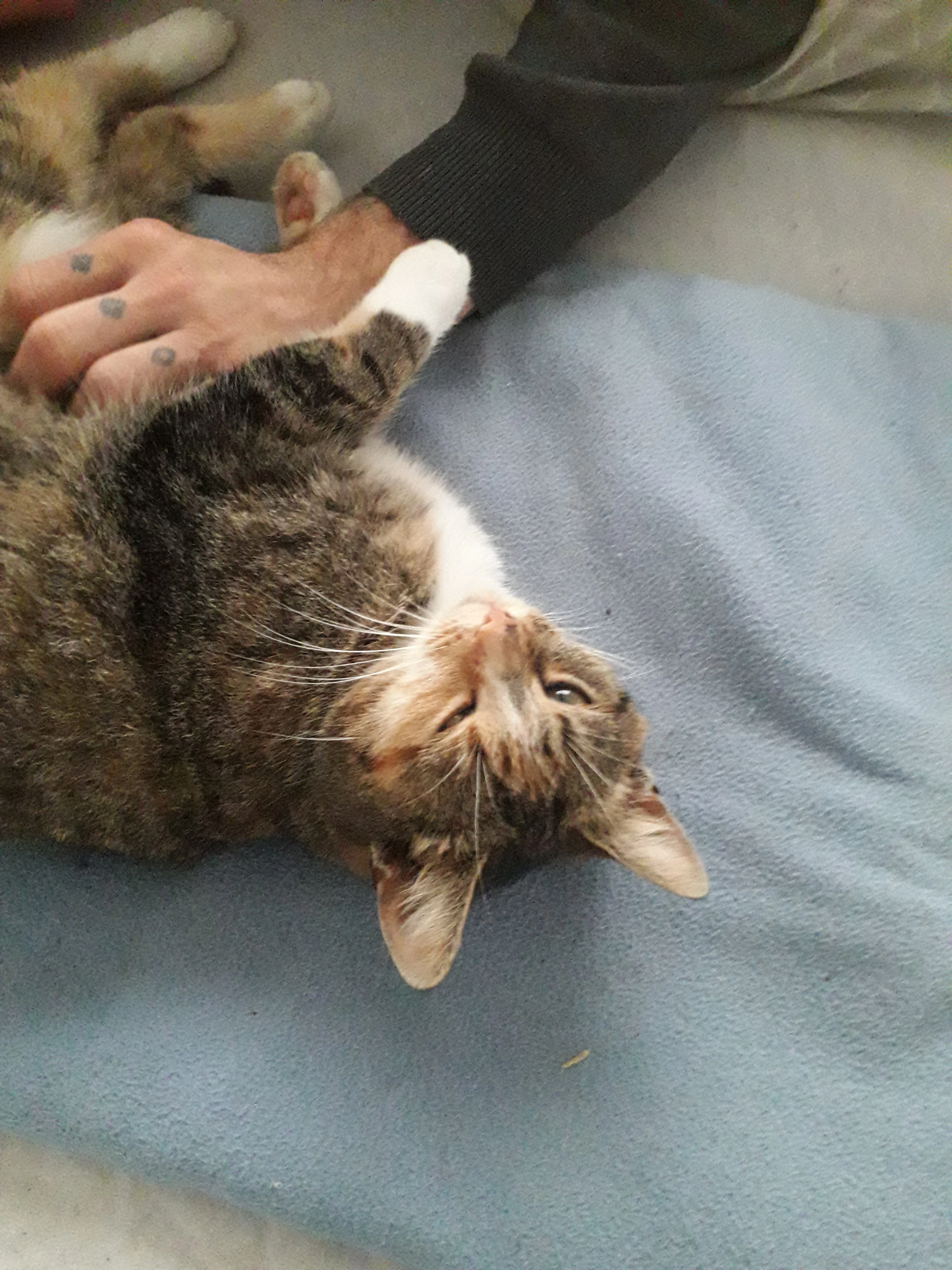 poco - Dorpsstraat, Kiel-Windeweer