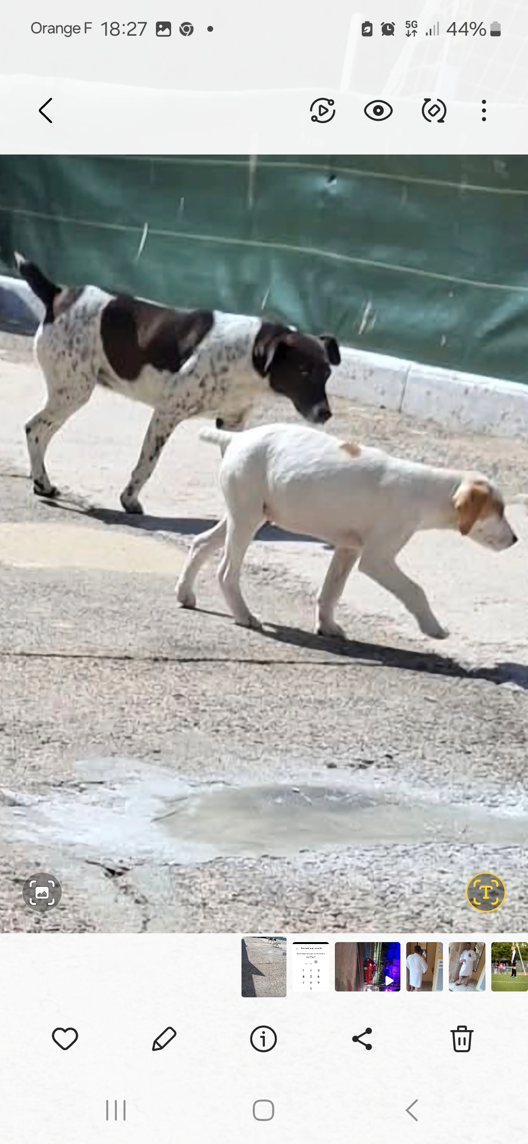 Princesse  - Rue des Labours, Argentan