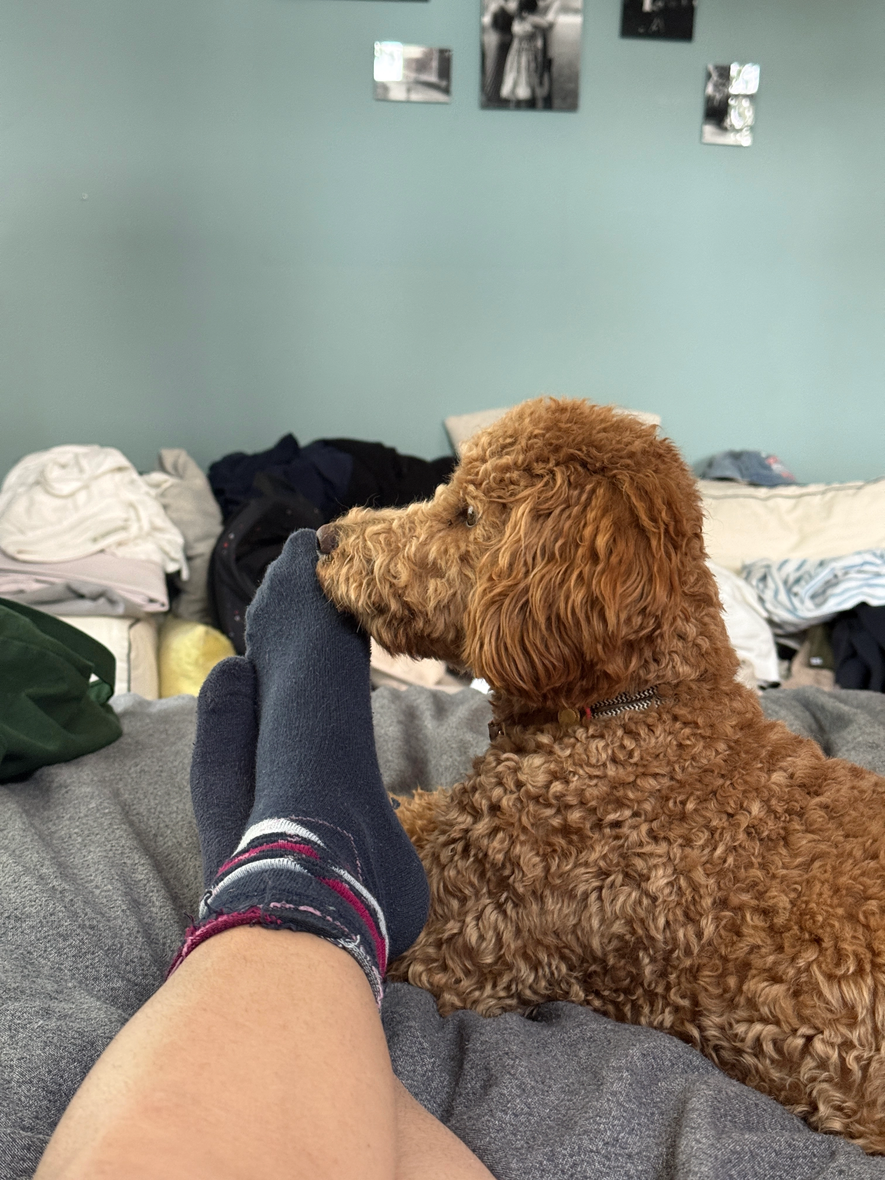 Momo - Müllerstraße, München