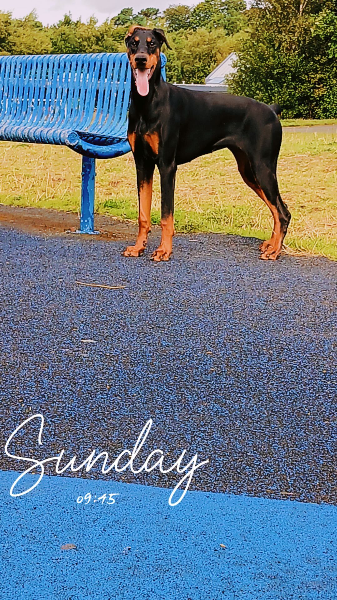 Mafìa - Dumbarton Road, Milton