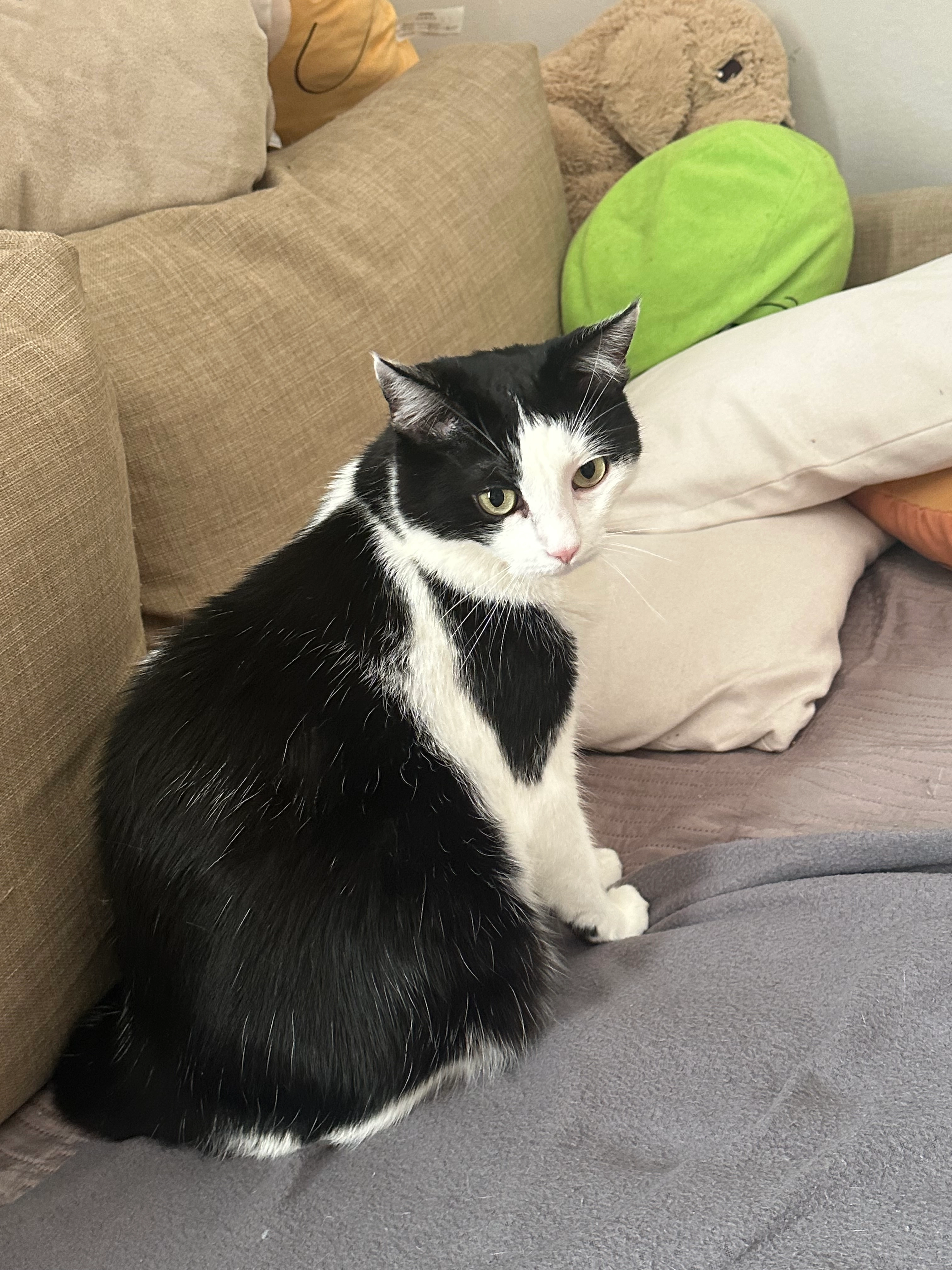 Chapa - Obere Bahngasse, Wien