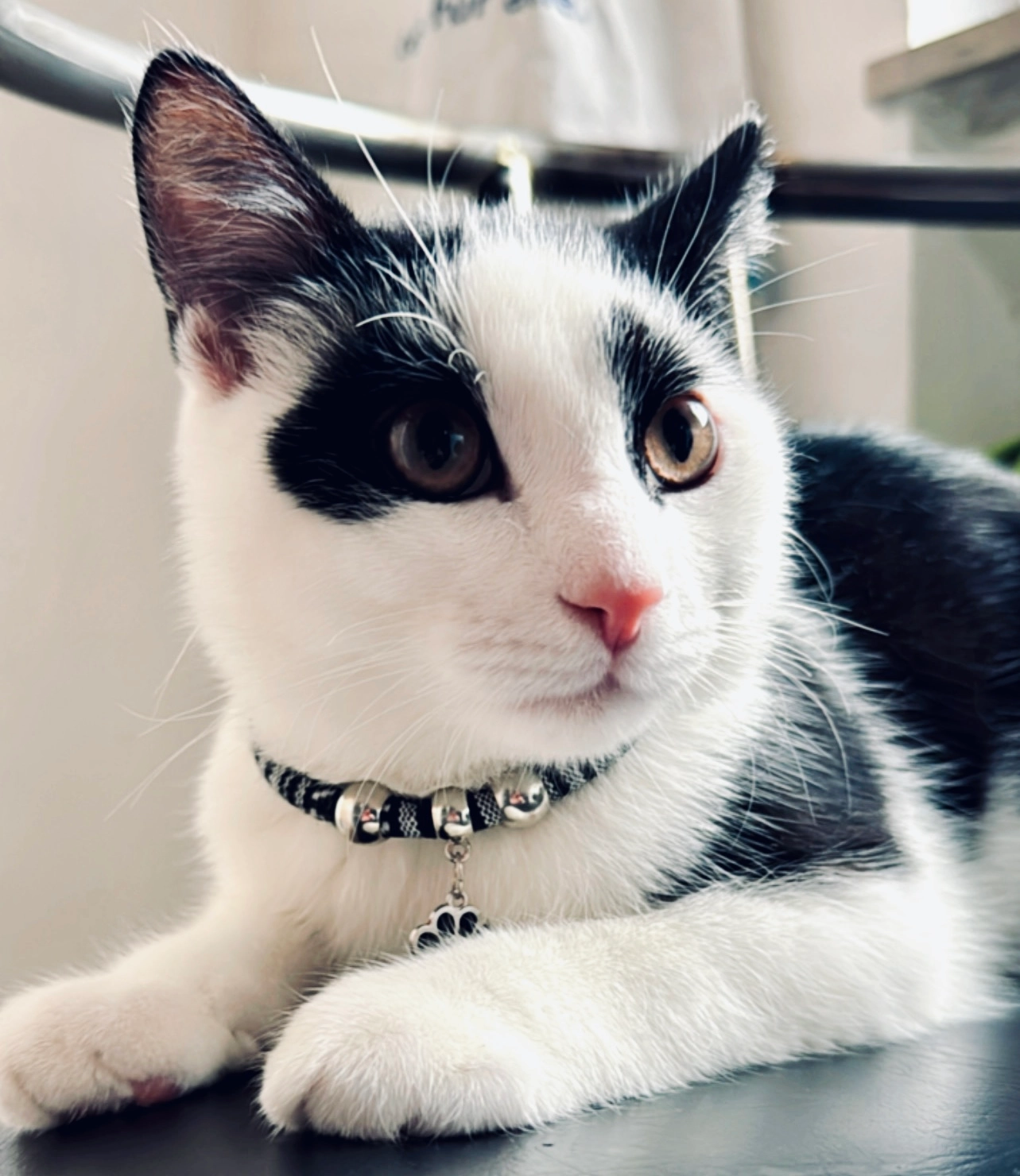 Panda - Andersenstraße, Albstadt