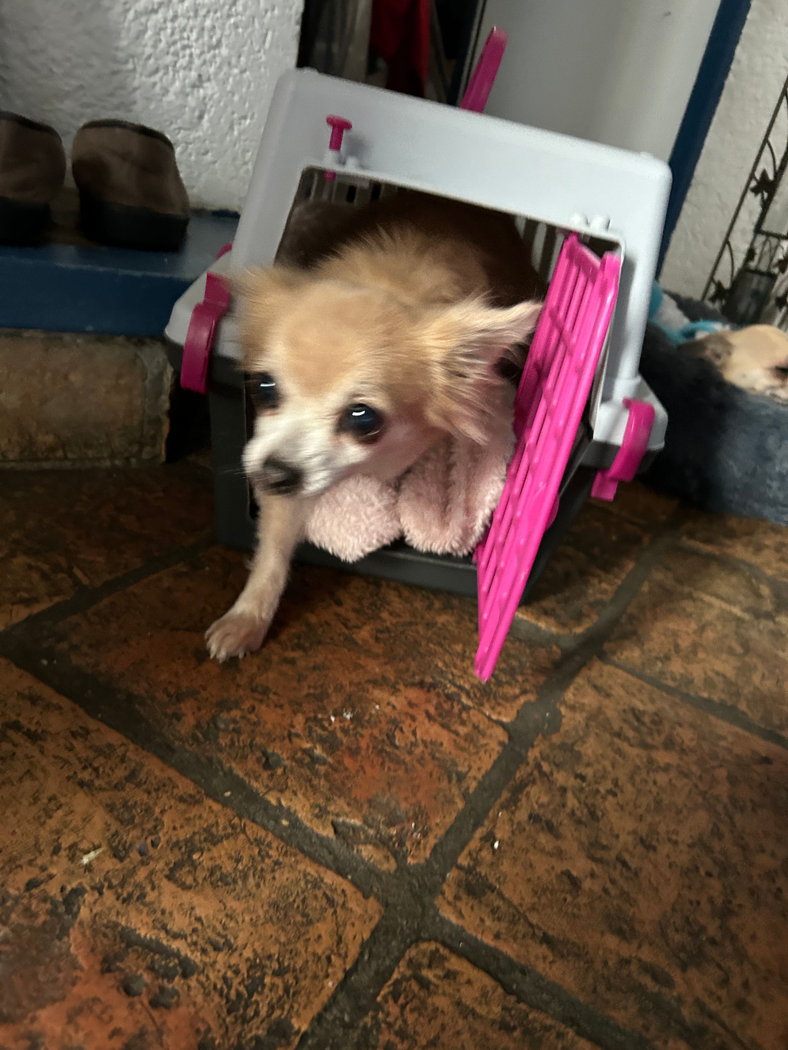 Chipie - 28 Route de Warnécourt, Prix-lès-Mézières