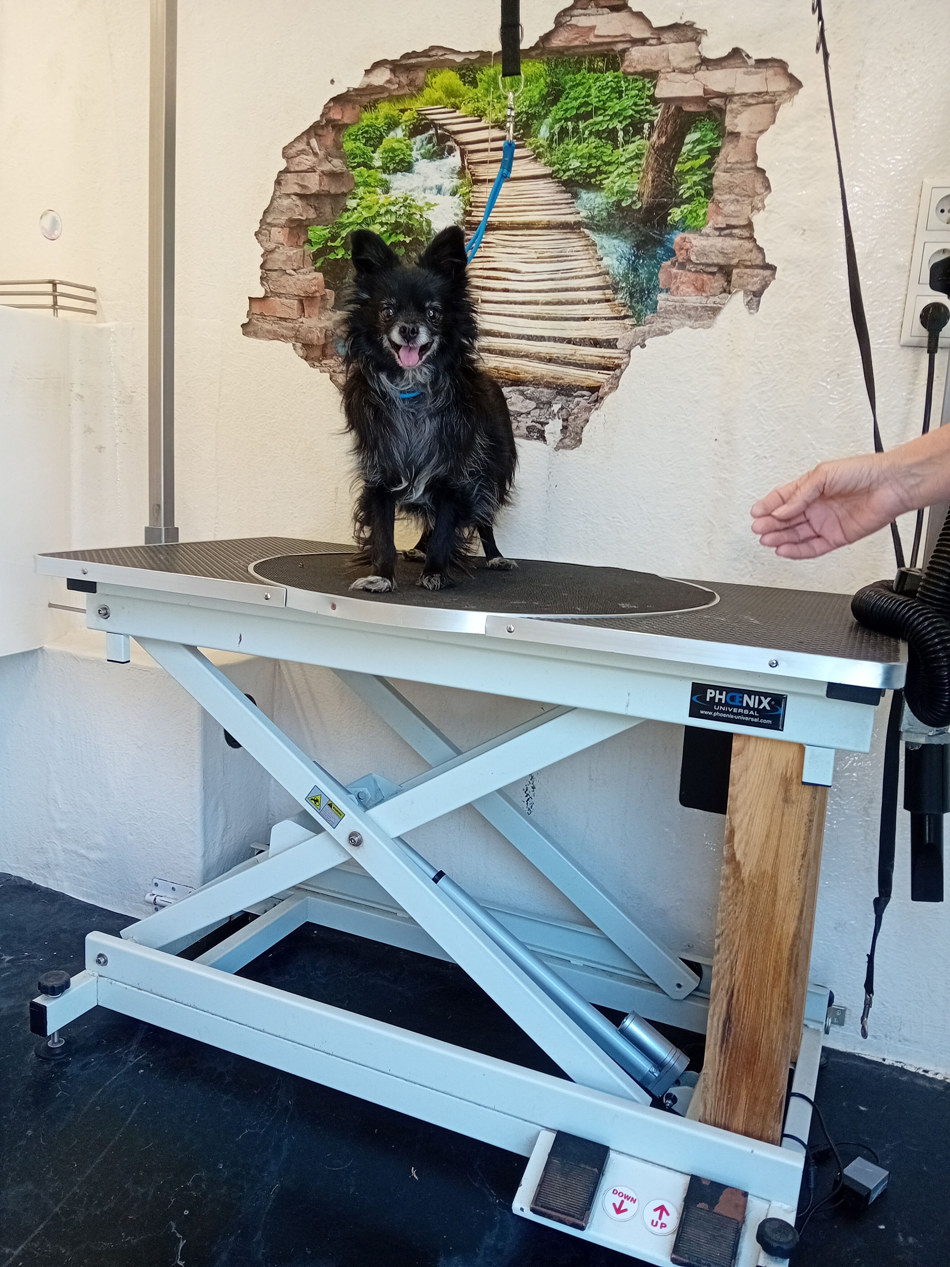 Kira - Untergallaberg, Lenzing