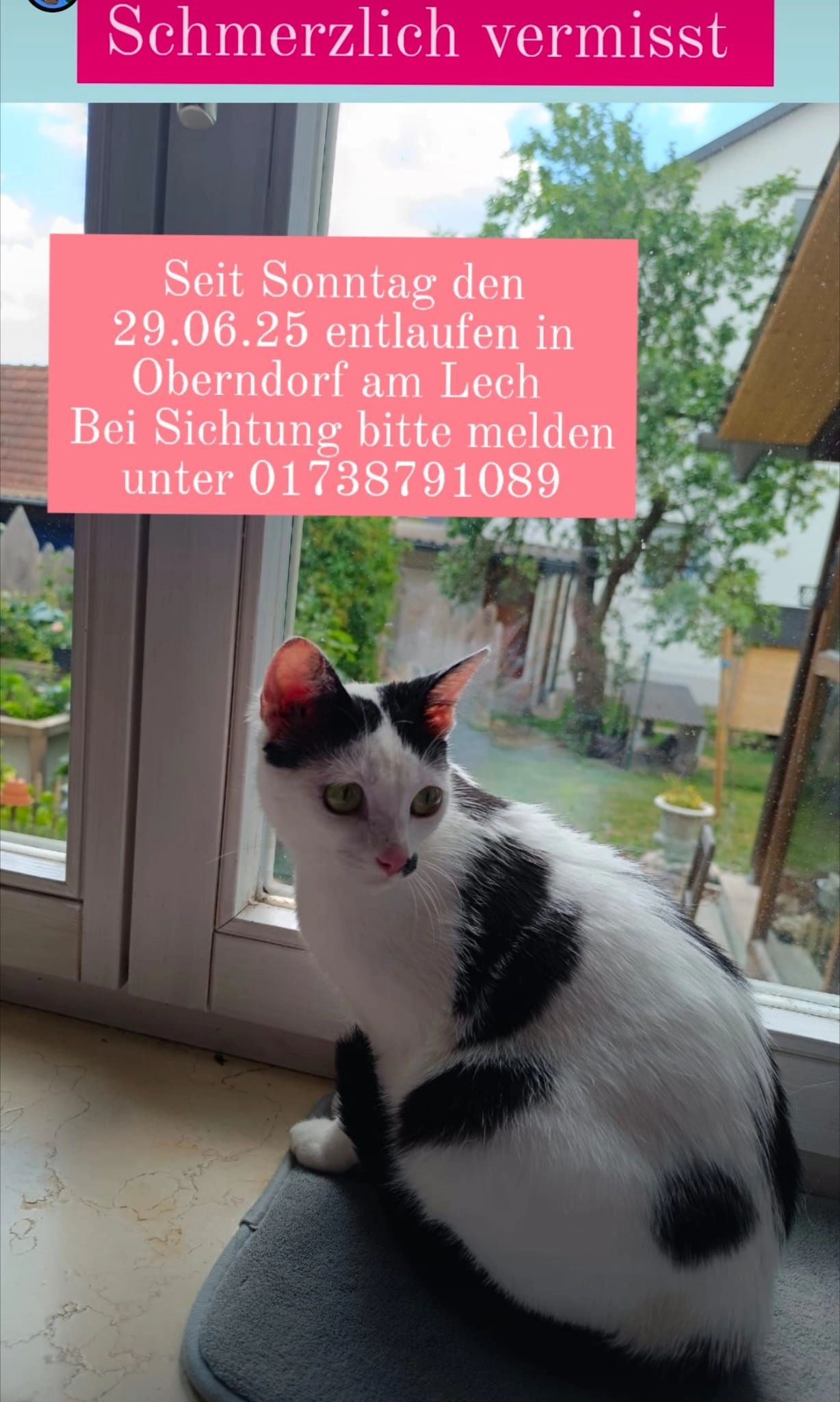 Cali - Pater-Frey-Ring, Oberndorf am Lech