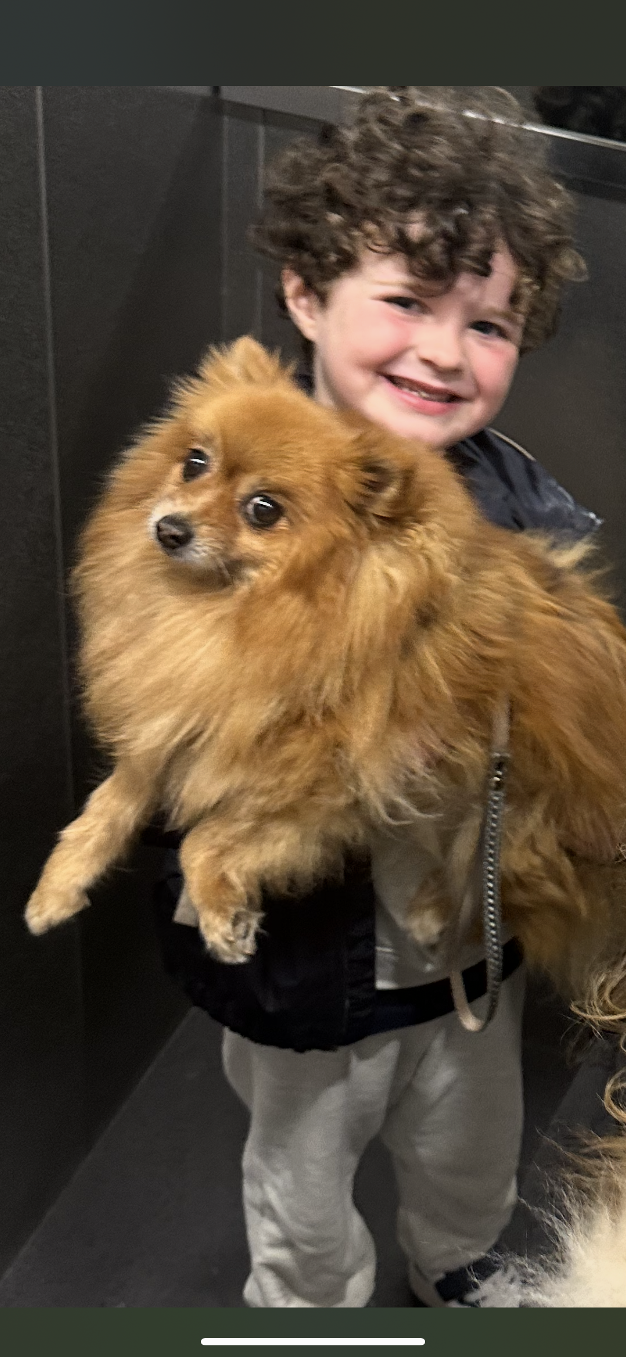 Jade - Avenue du Roi Albert 1er, Cannes