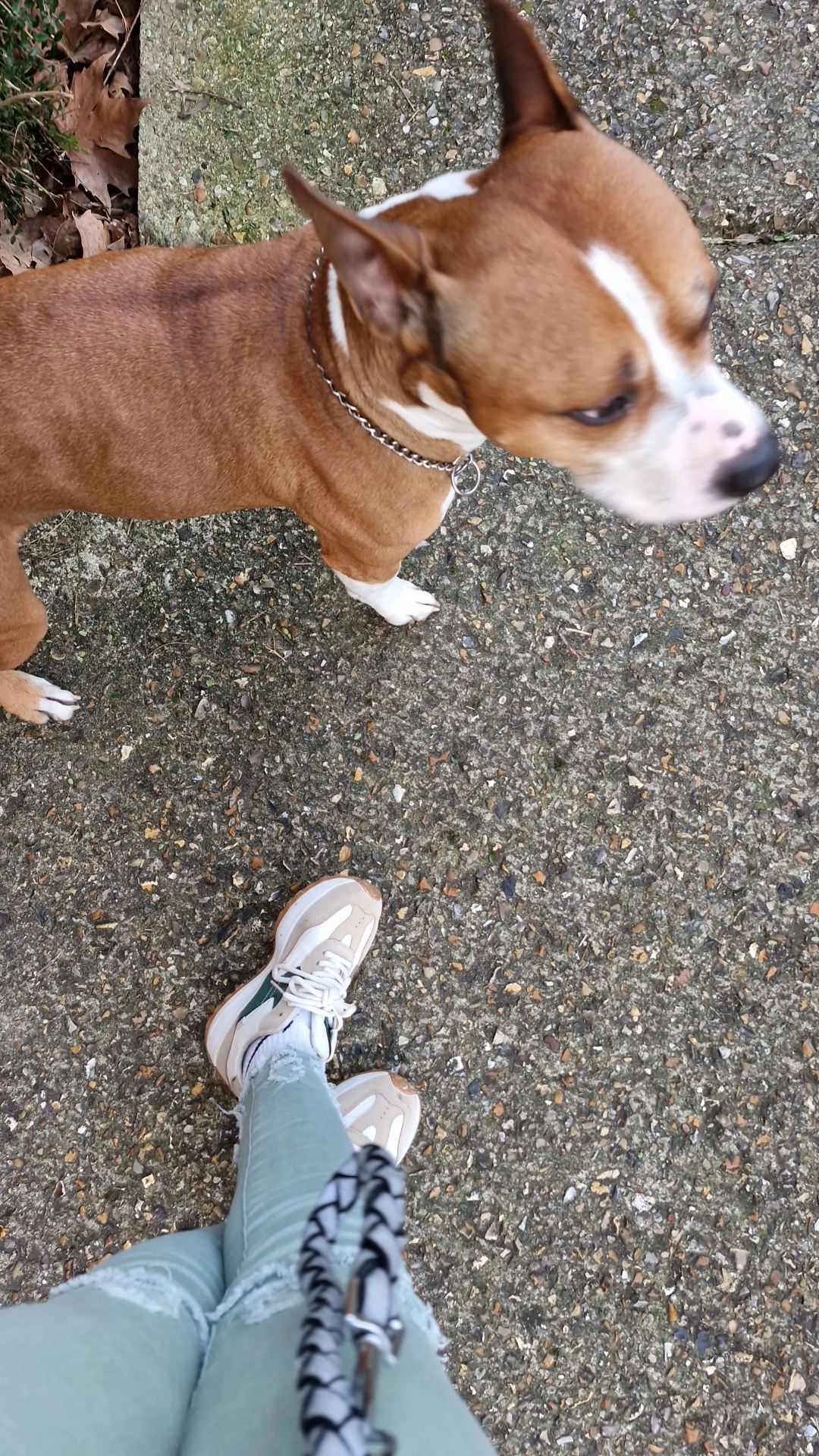 Kenny  - 9 Rue des Charbonniers, Domont