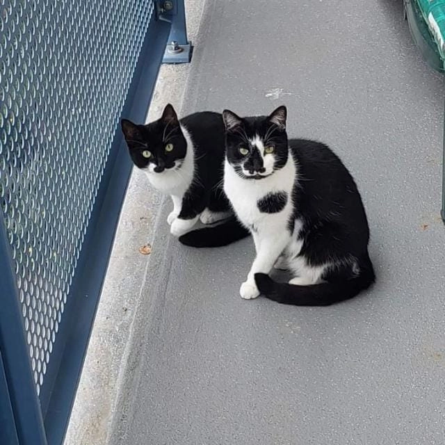 Tornado en strom - Hobbemakade, Zutphen