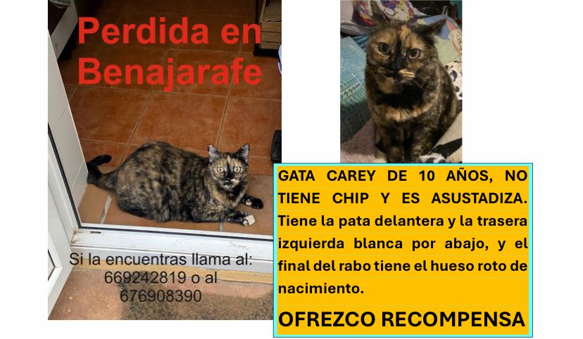 Juanita 676908390 - Poblado Benajarafe, Vélez-Málaga