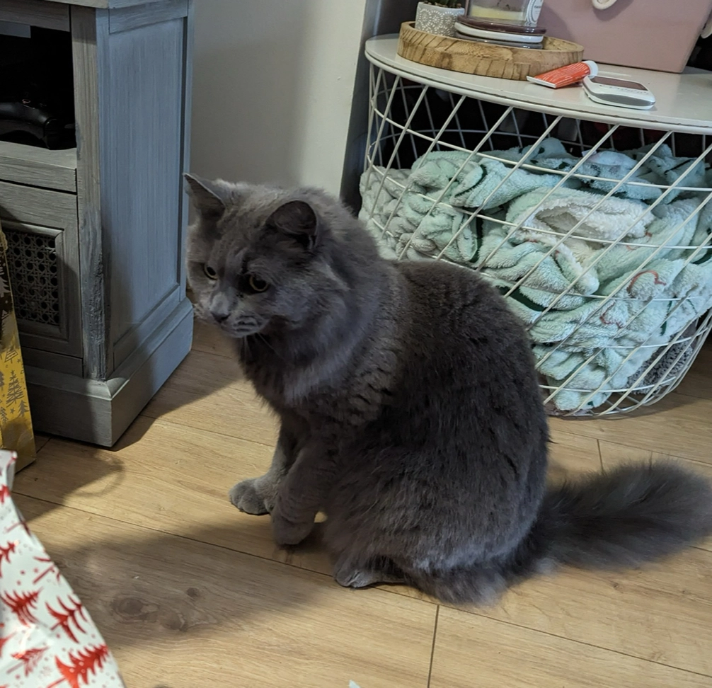 Bella - Burlington Road, Portsmouth