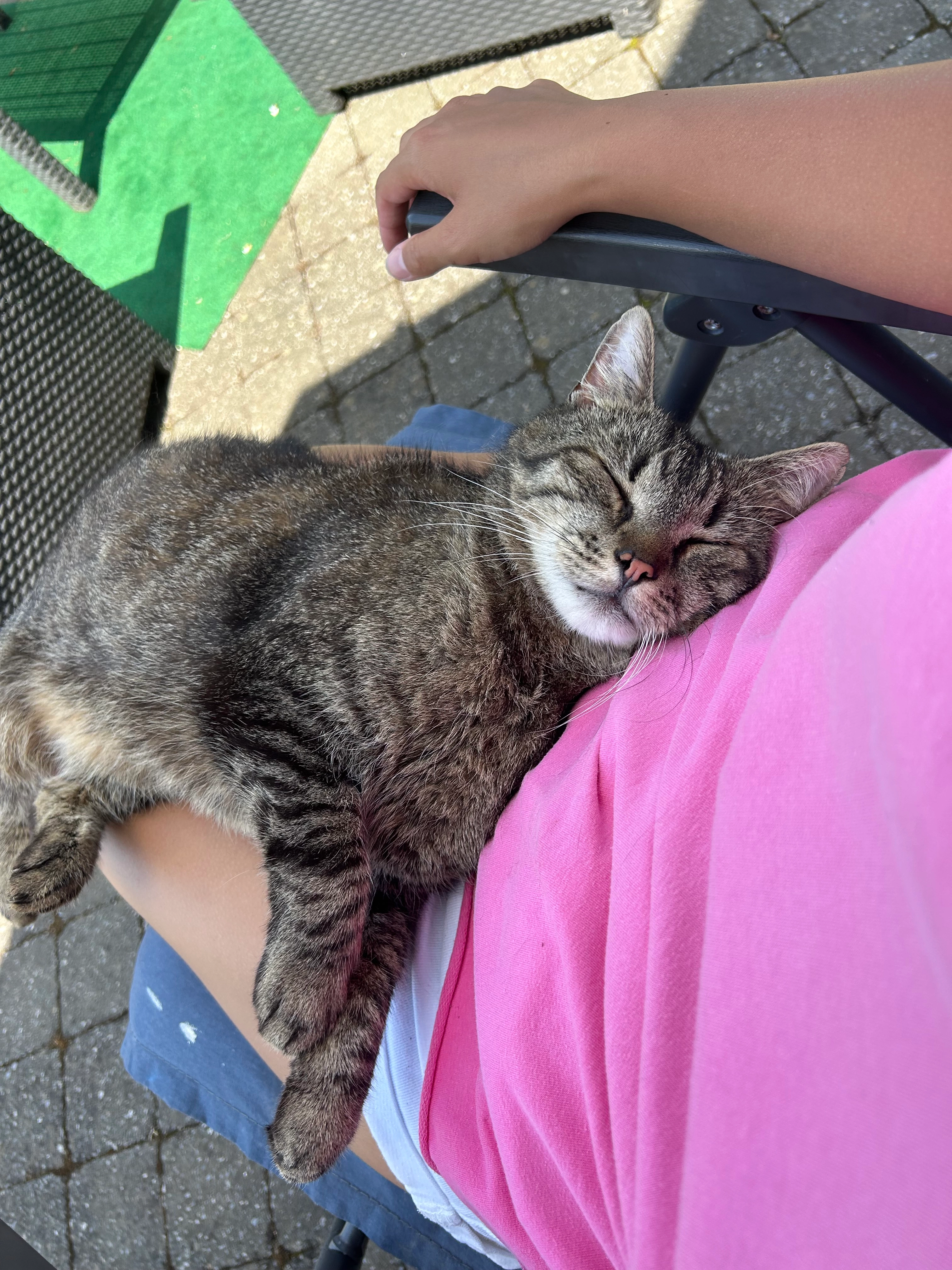 Charly - Rue du Piroy 55, Ramillies