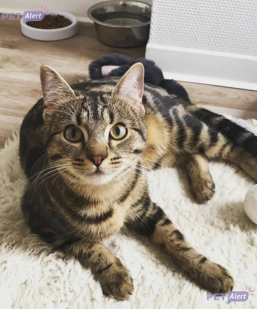 Maggy - Rue de la Pegou, Bouloc