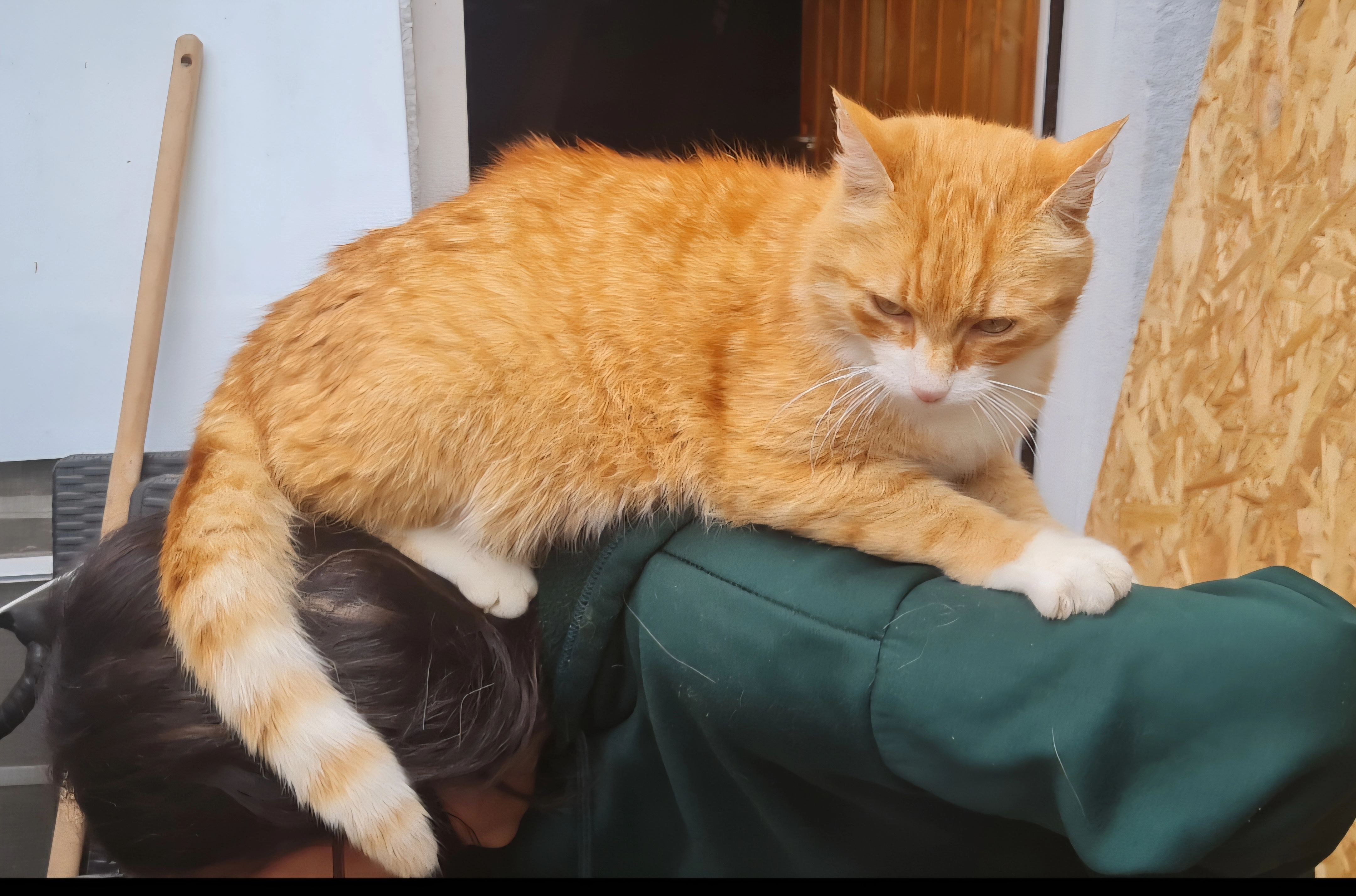 Simba - Bernhardstraße, Scheyern