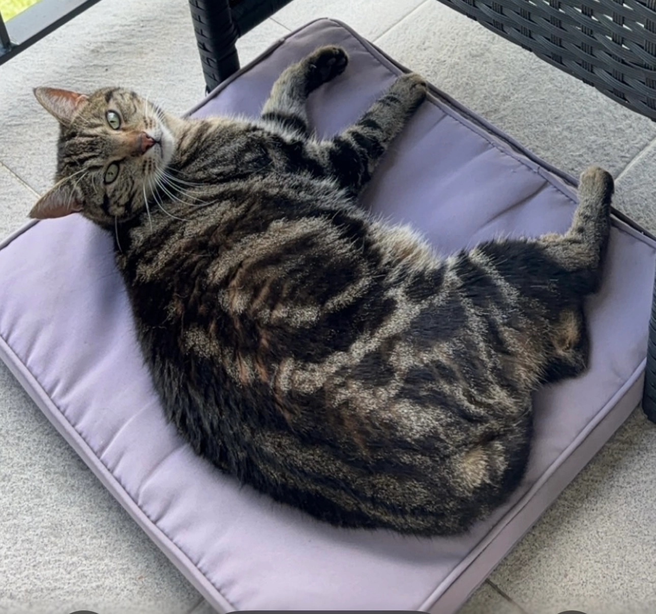 Capsule - Les Reussilles , Les Reussilles