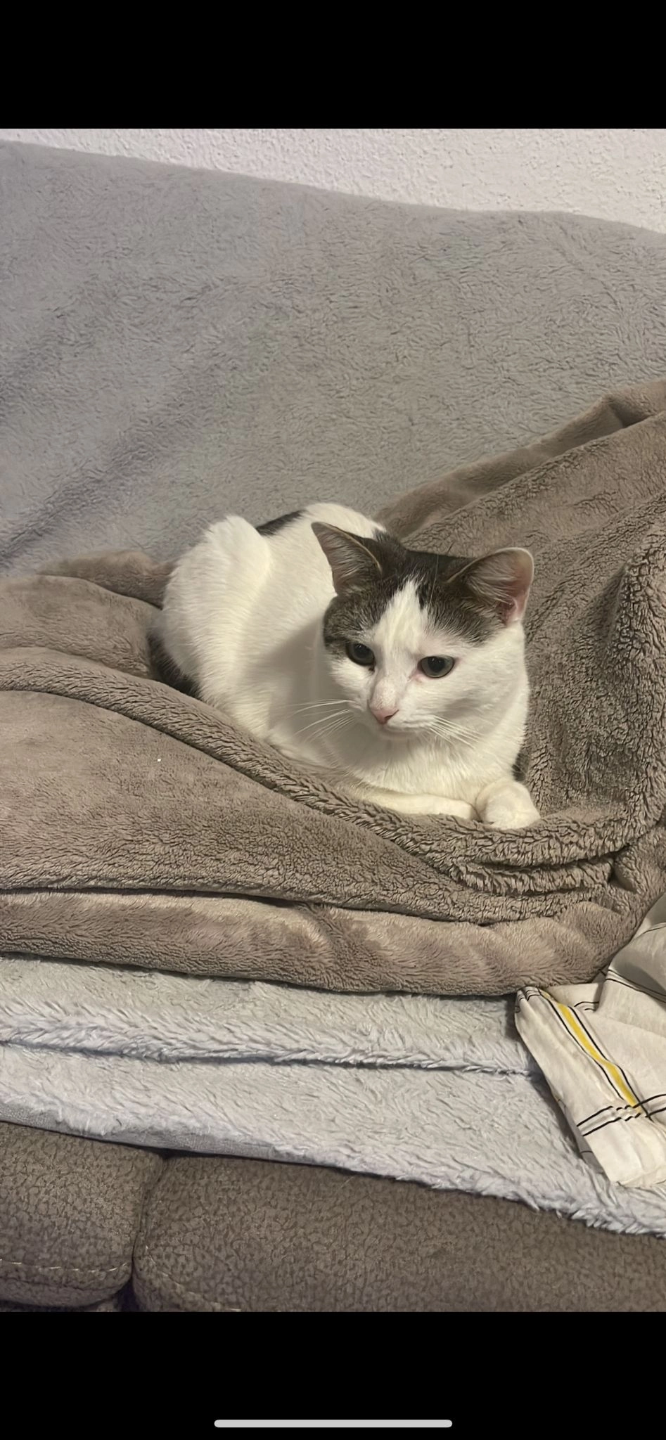 Aischa - Egelseestrasse, Kreuzlingen