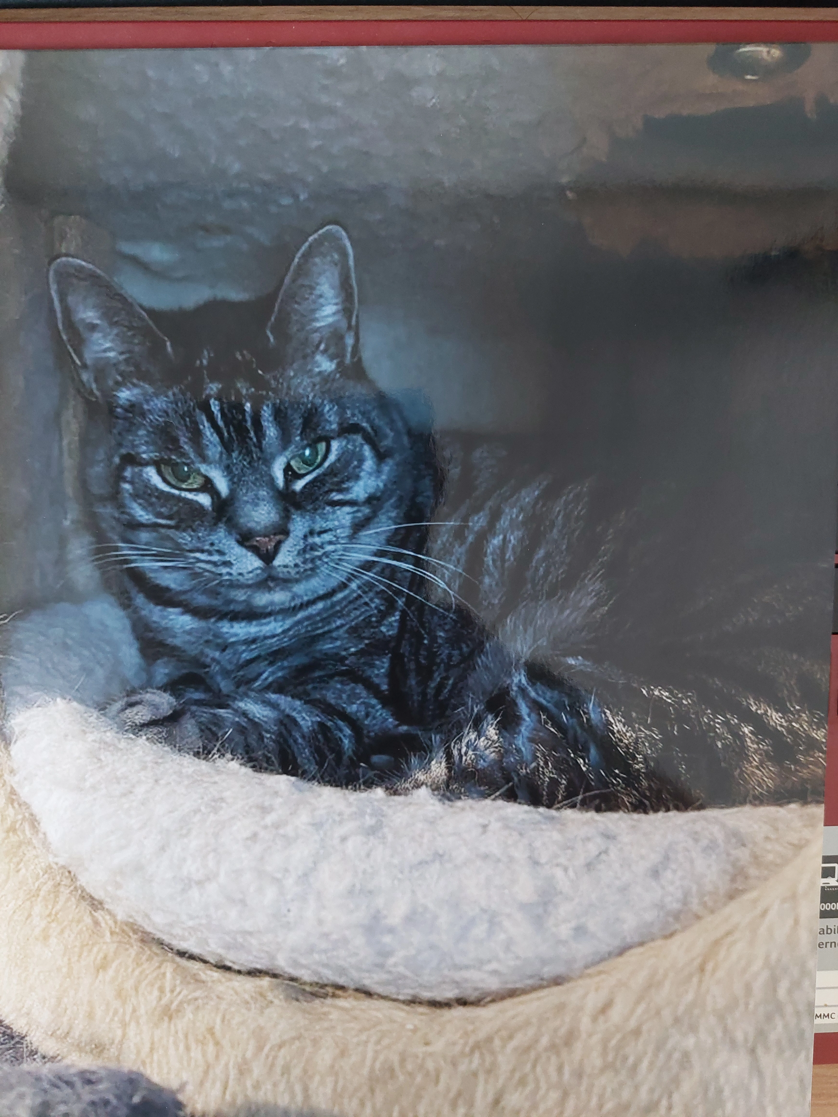 Rambo - Unterdorfstrasse 10, Knutwil