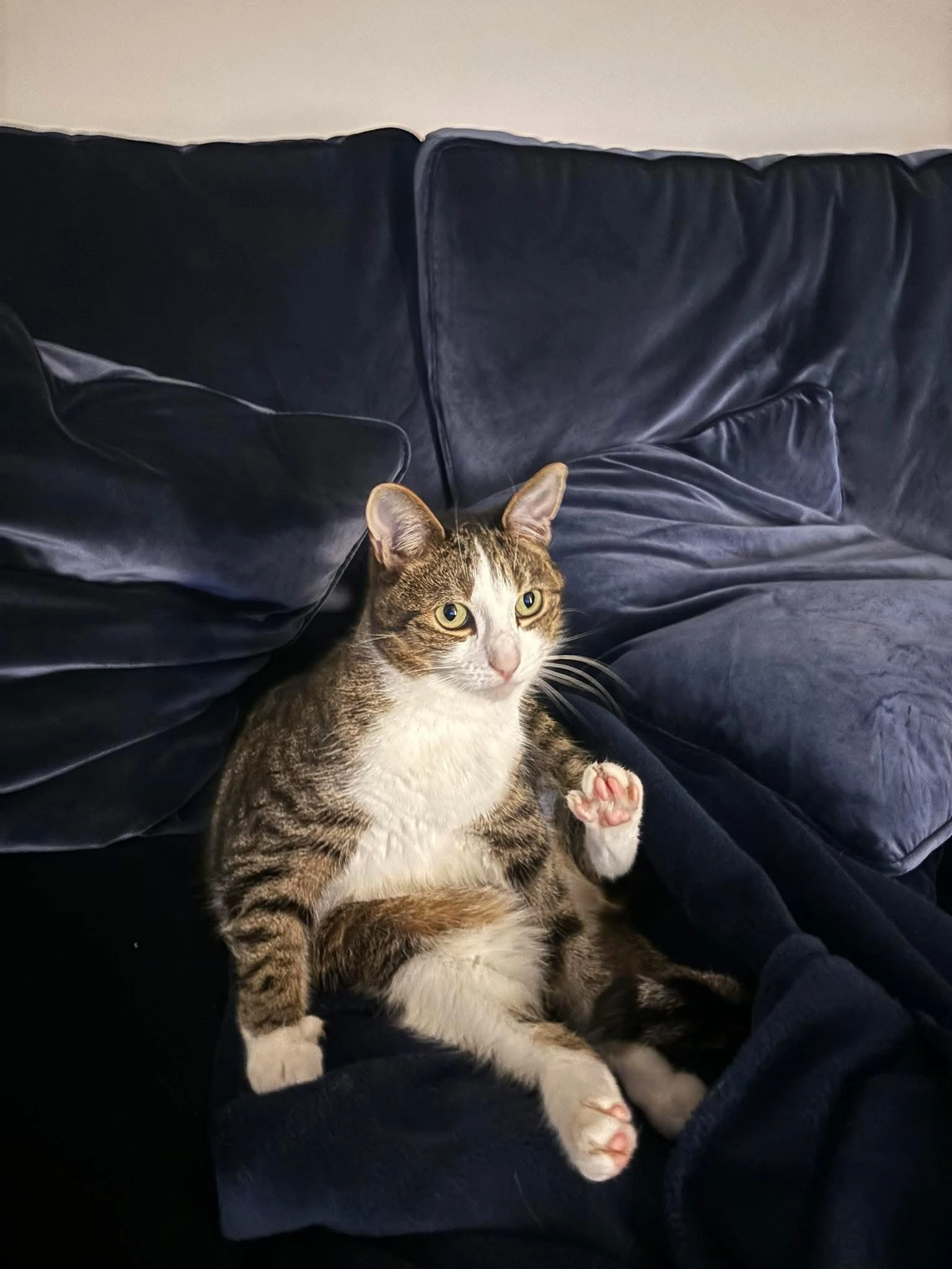 Achilles - 126 Camp Road, Bicester