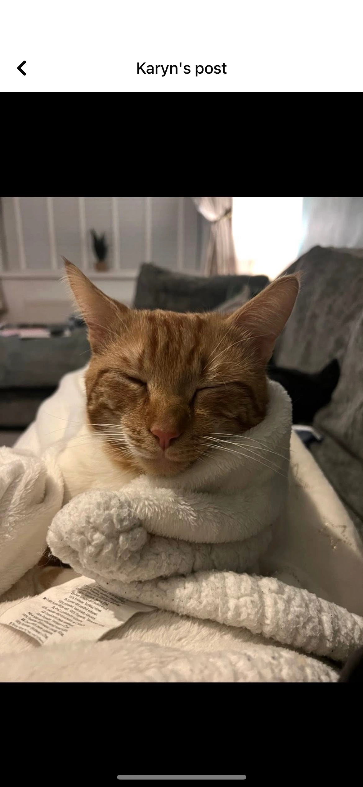 Micky  - CF44 6, Aberaman