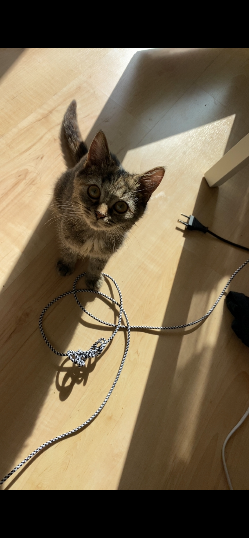 frida - Pater-Reichenberger-Straße 6, Lienz