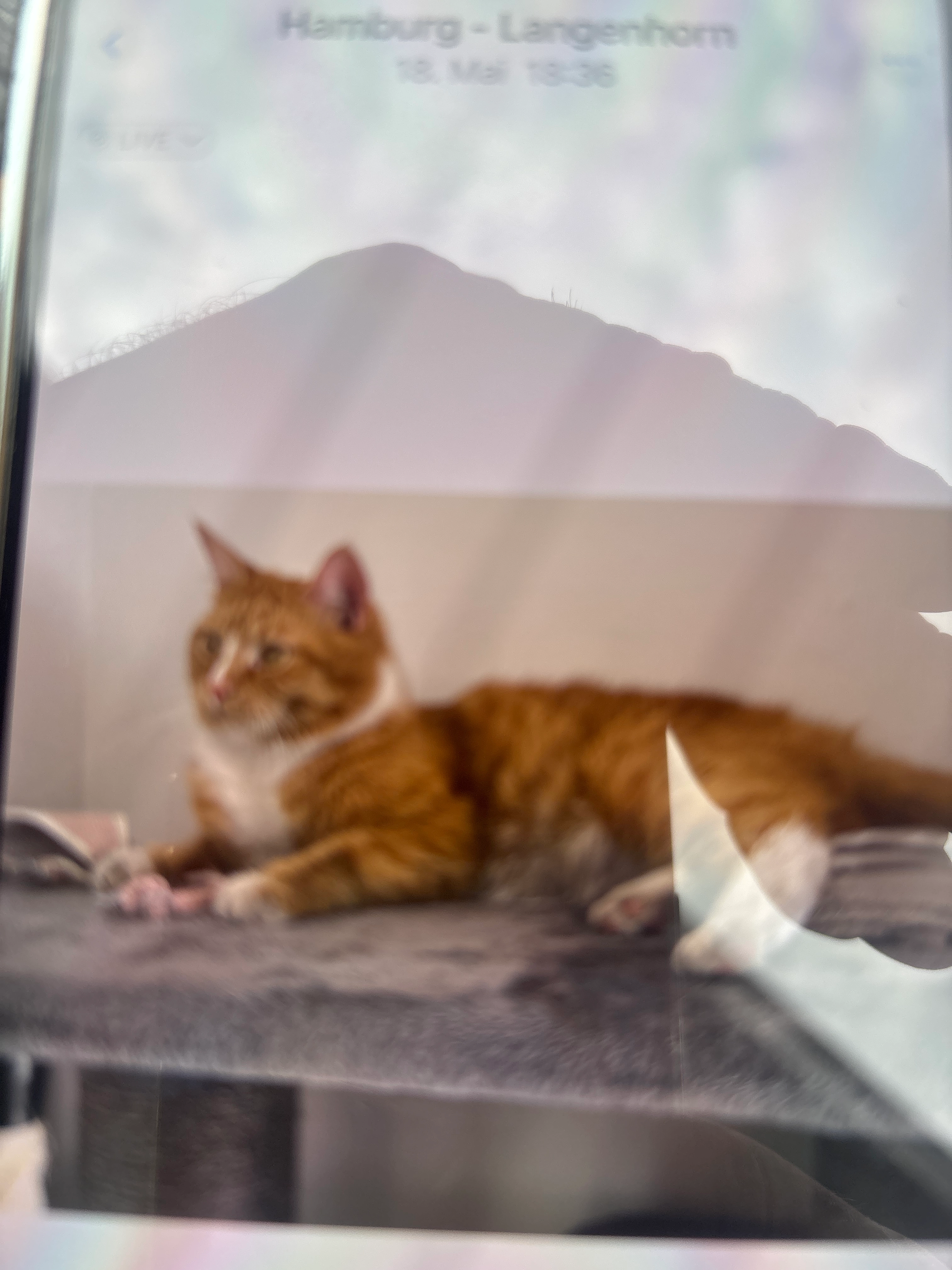 Black - Sandfoort 94, Hamburg