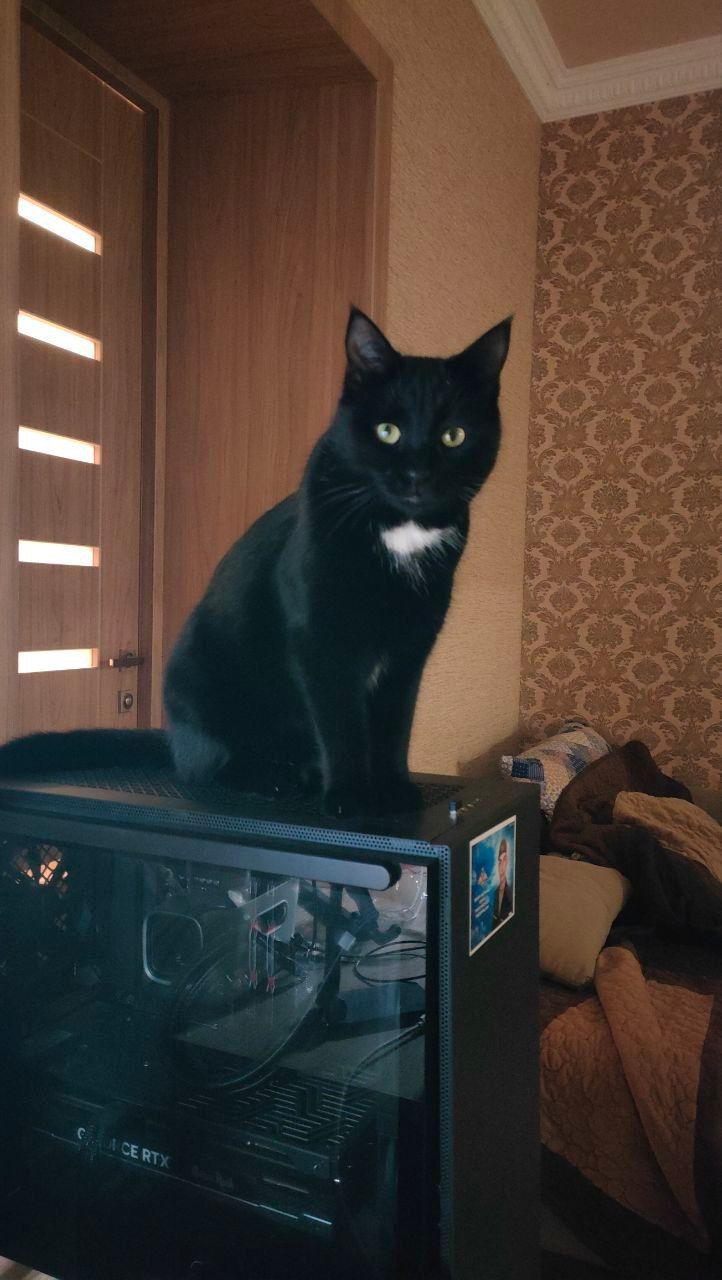 Nochka - Strada Doinei, Dobroești