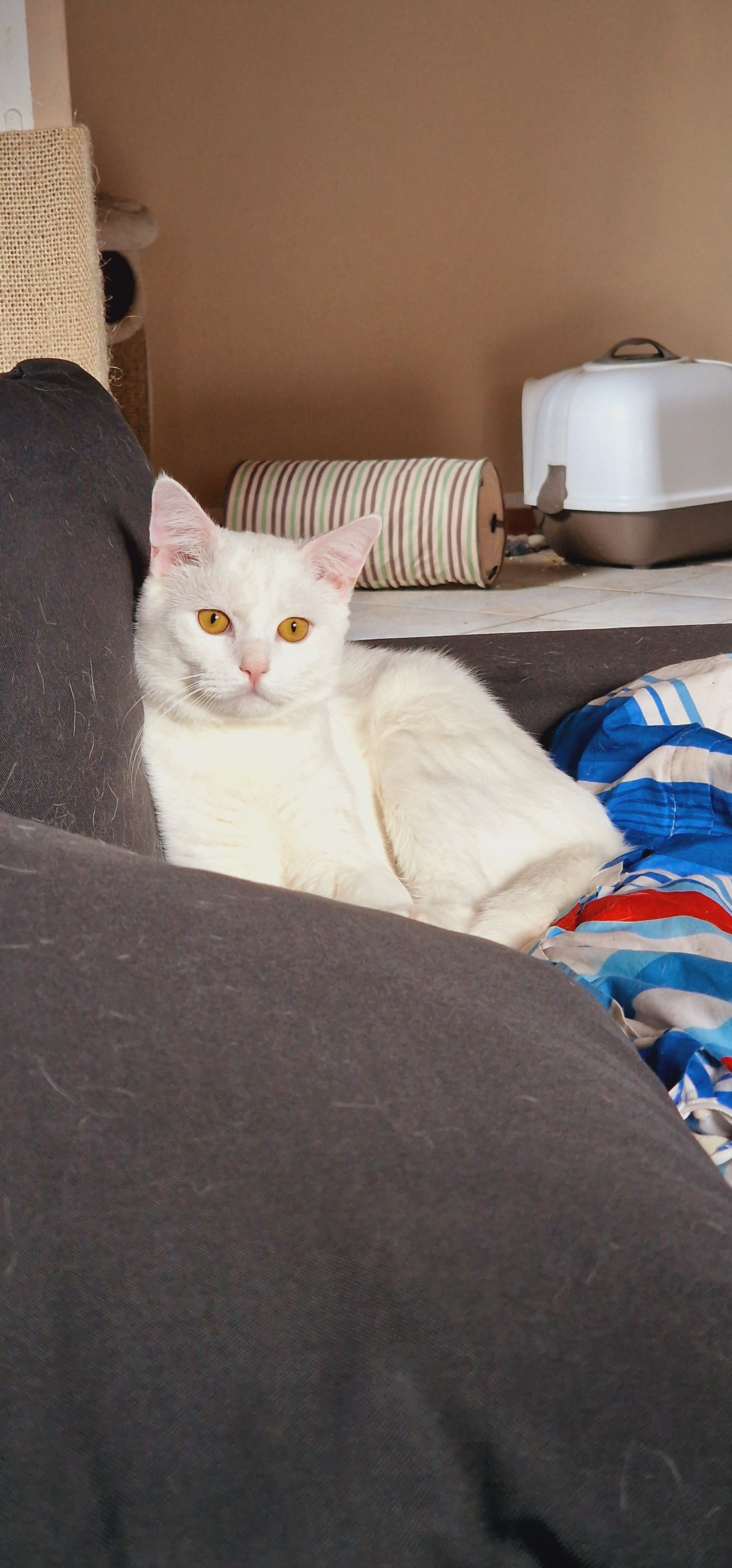 Snow - Hauptstraße, Birgel