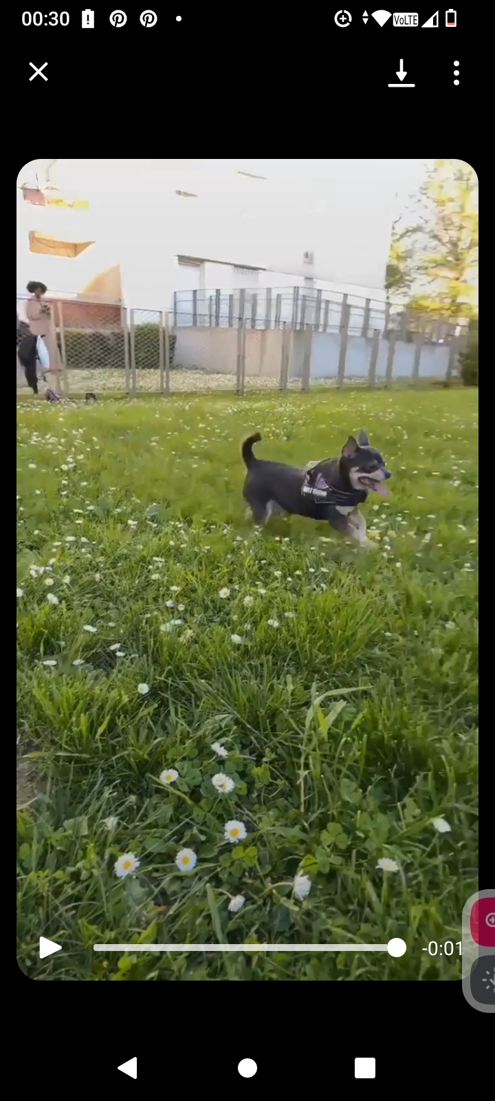 Splike - 94350, Villiers-sur-Marne