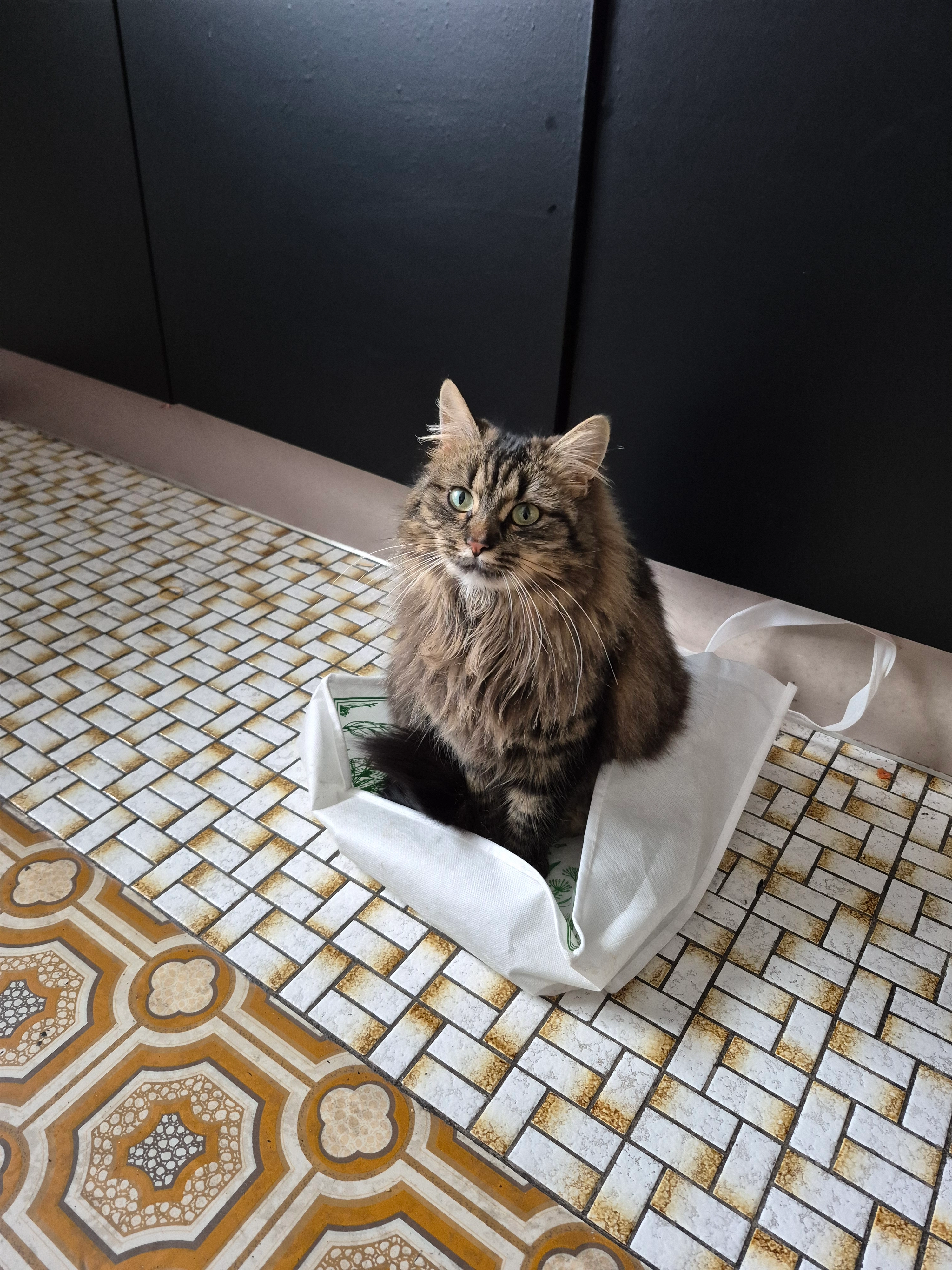 Lilith - Ring 246, Hartberg