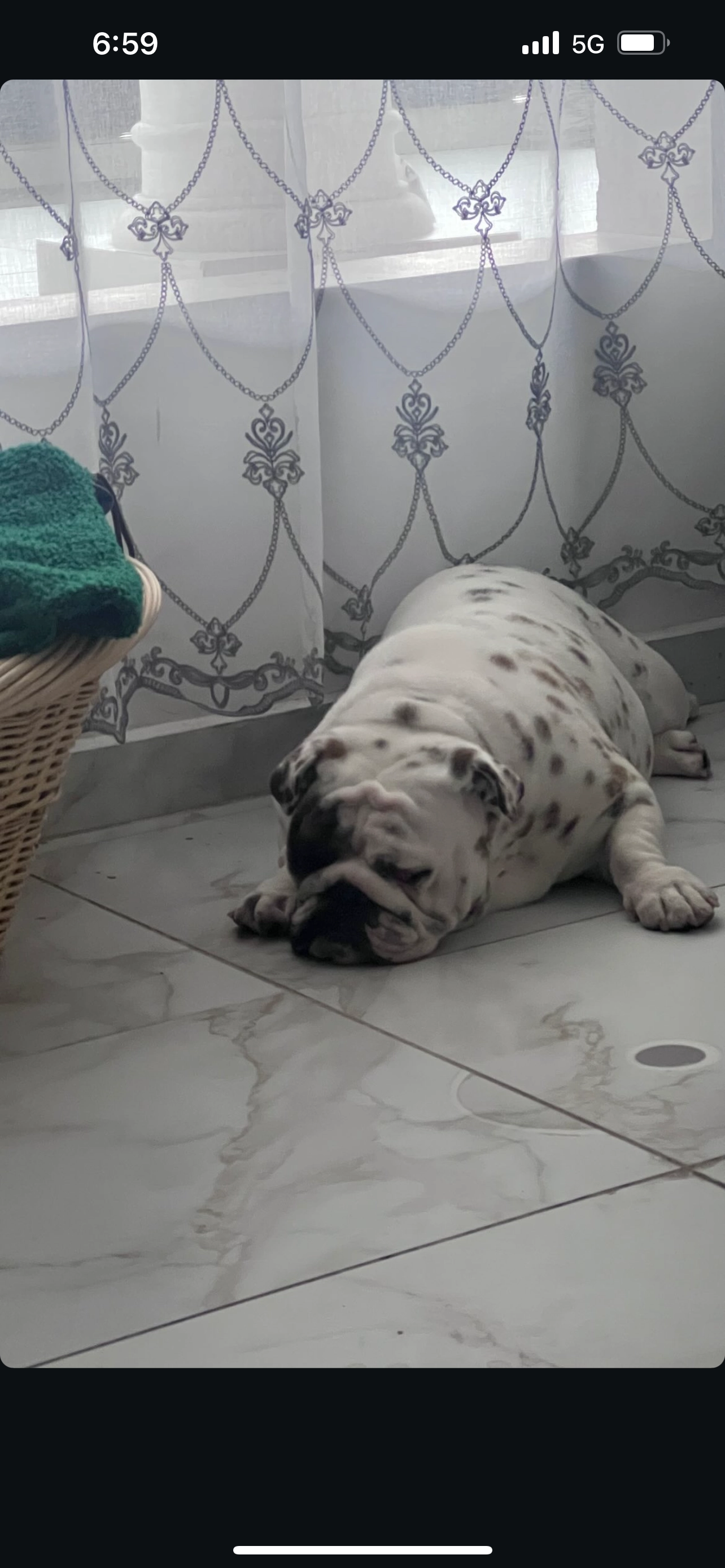 hanna - Calle del Corte 6, Junta de Traslaloma