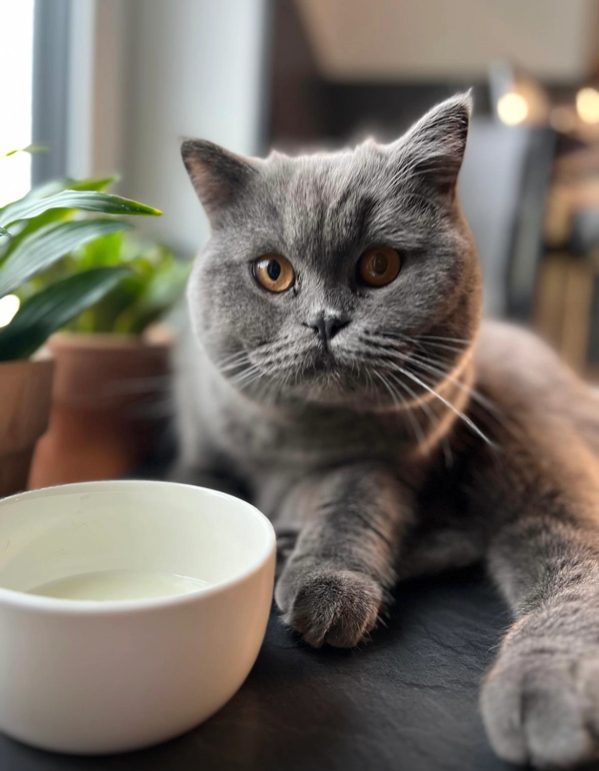 Nova - Marie-Juchacz-Straße, Pocking