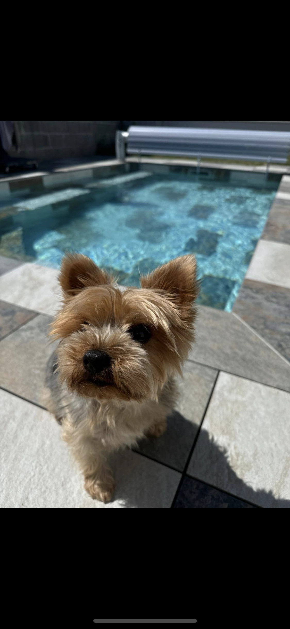 River - 2 Rue du Moque-Chien, Saint-Augustin