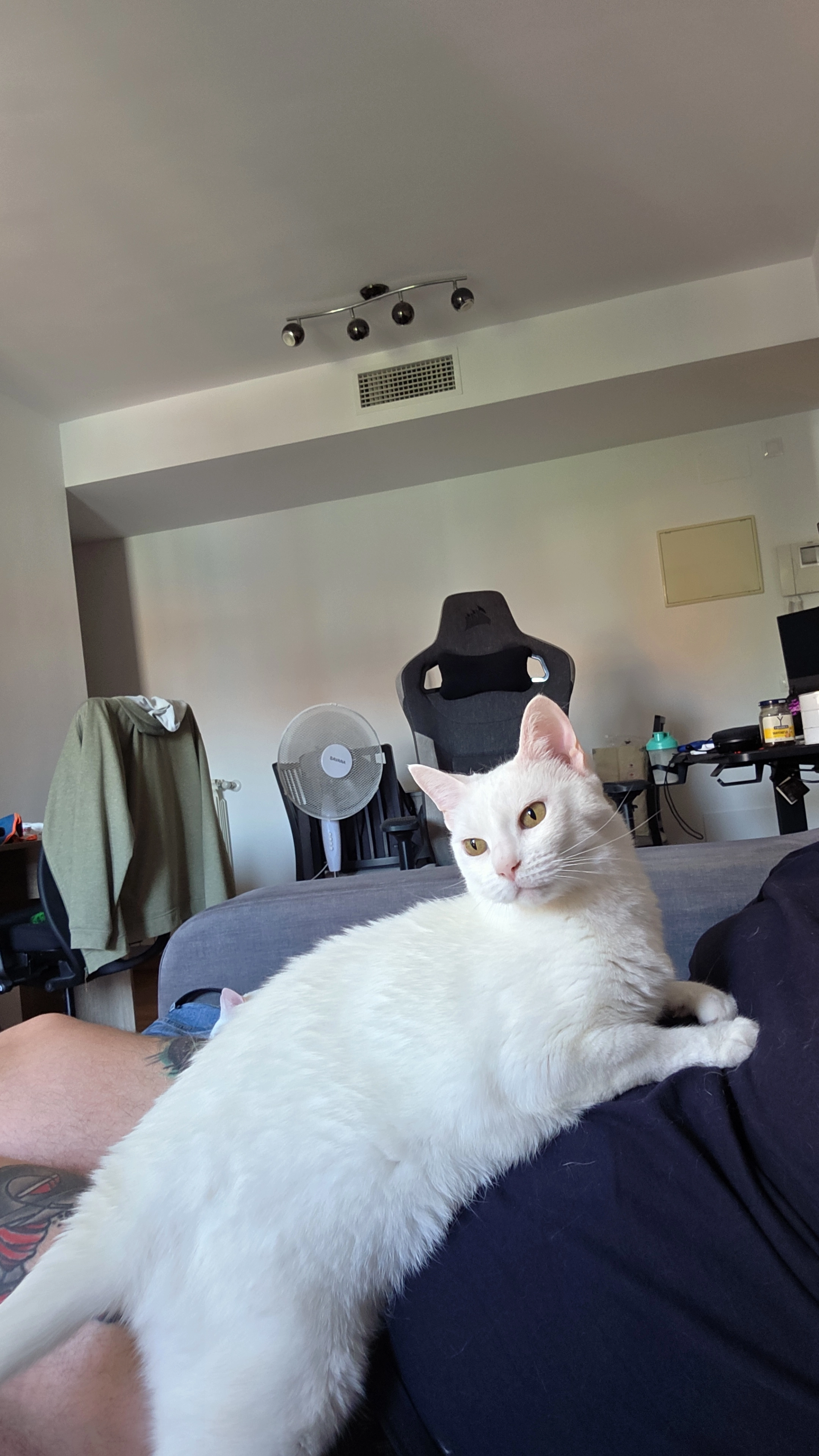 Jopo - Rúa de Eduardo Blanco Amor, Arteixo