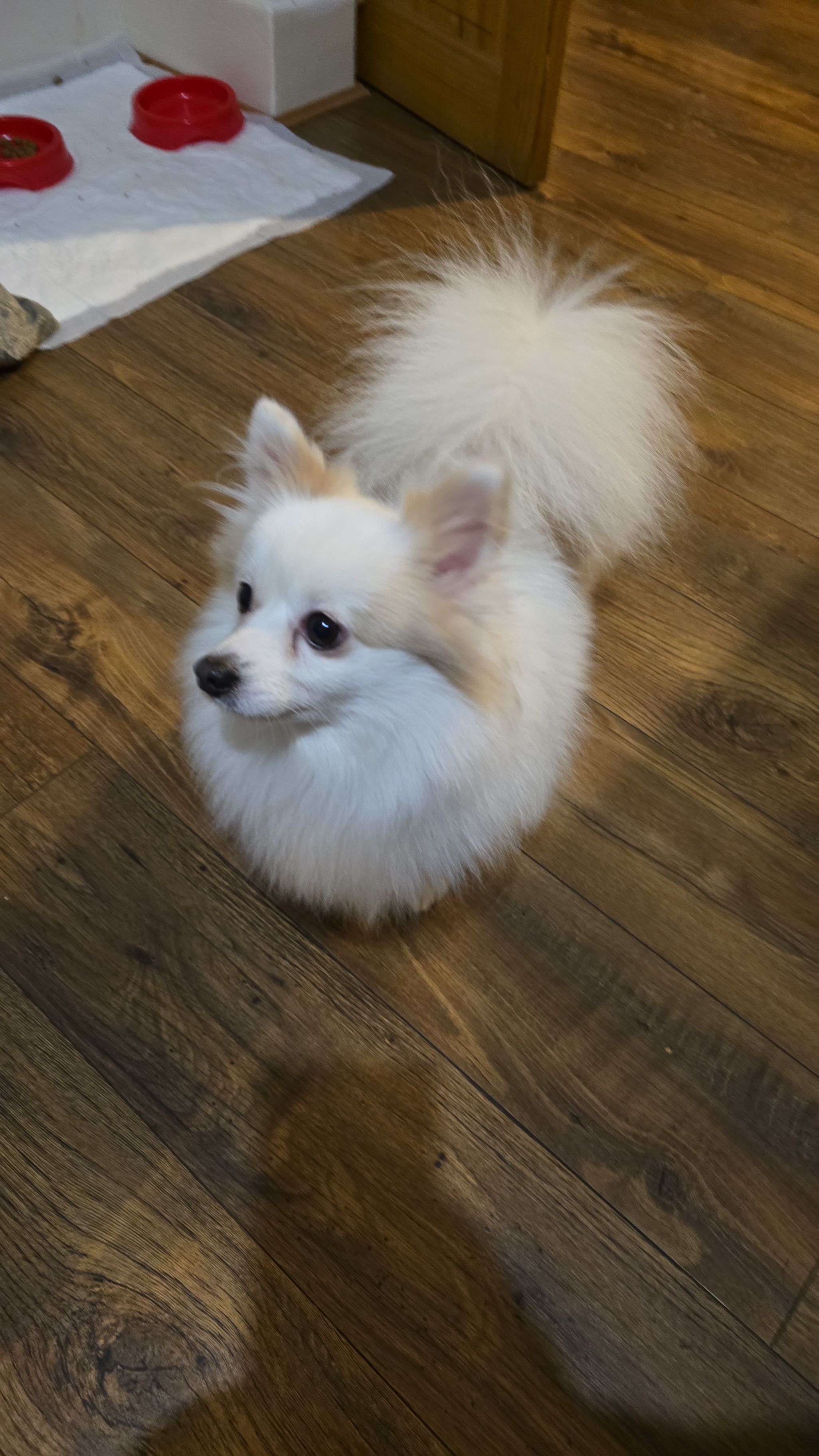 Tofu - SM1 4, Sutton