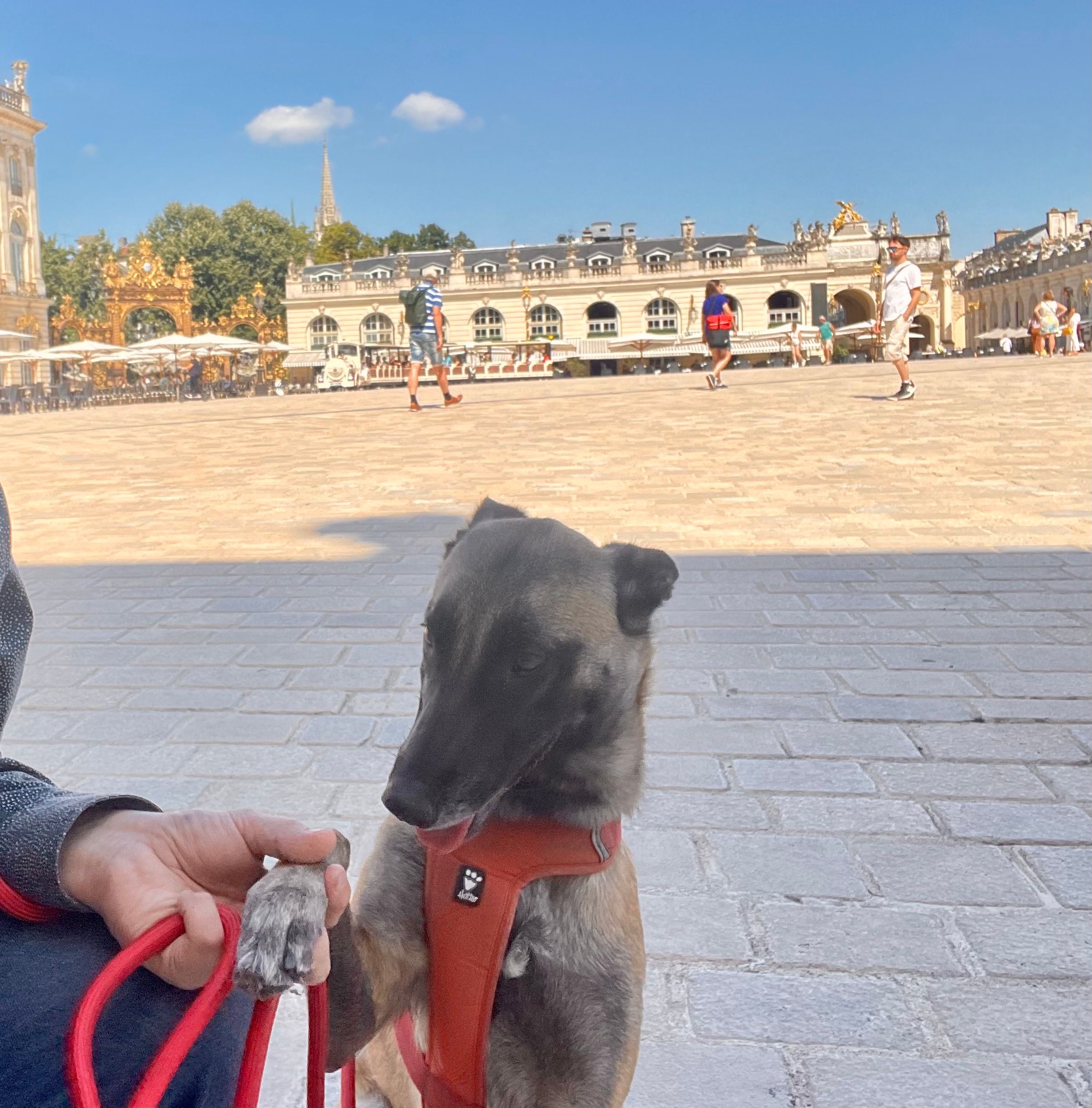 Tina - Place Carnot, Nancy