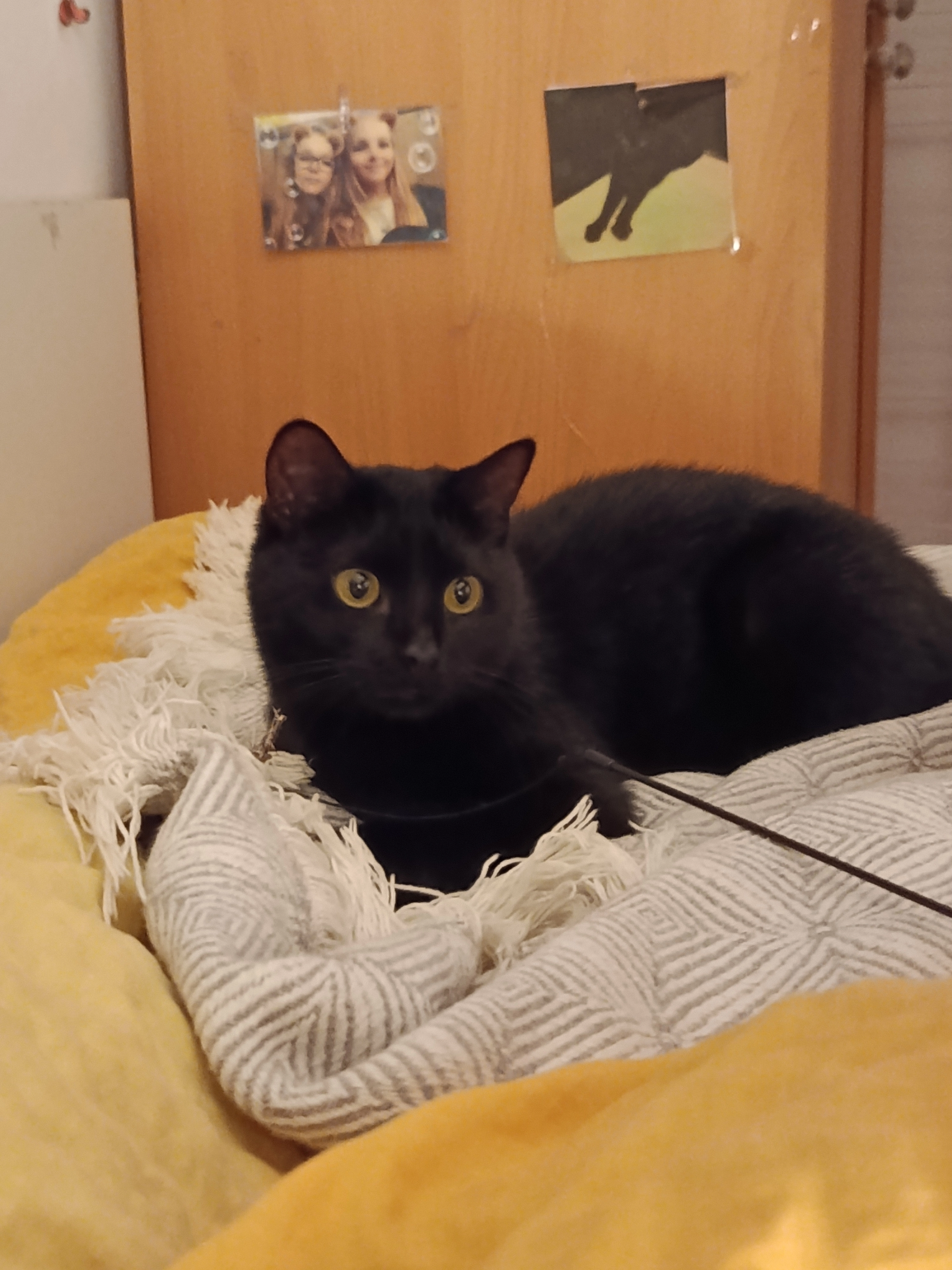 Bunkec - Rovte 89, Rovte