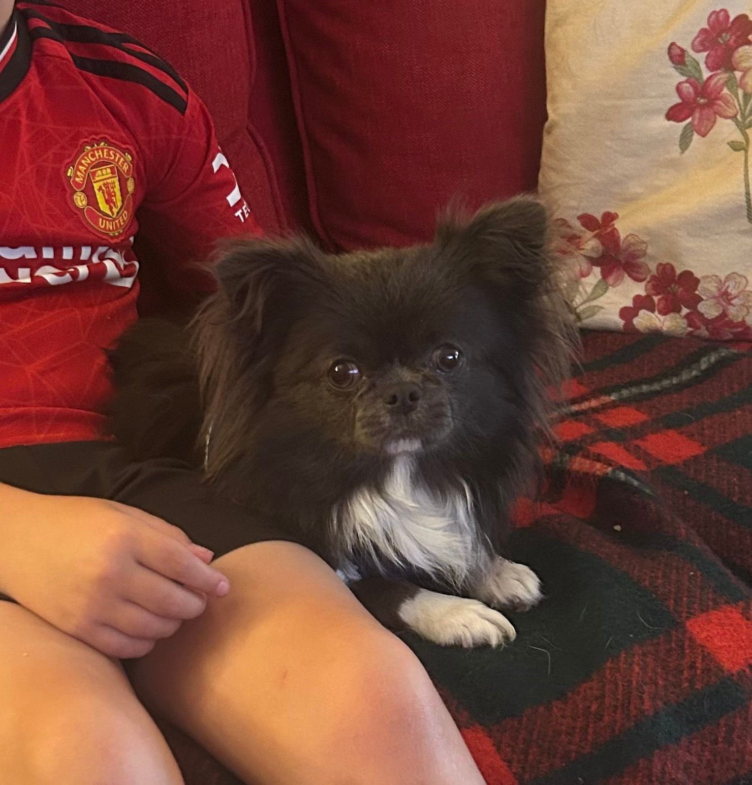 Bluey - PL30 4HD, Bodmin